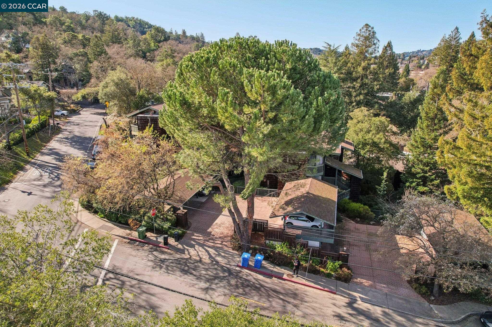 Detail Gallery Image 35 of 47 For 911 Dewing Ave, Lafayette,  CA 94549 - 3 Beds | 2/1 Baths