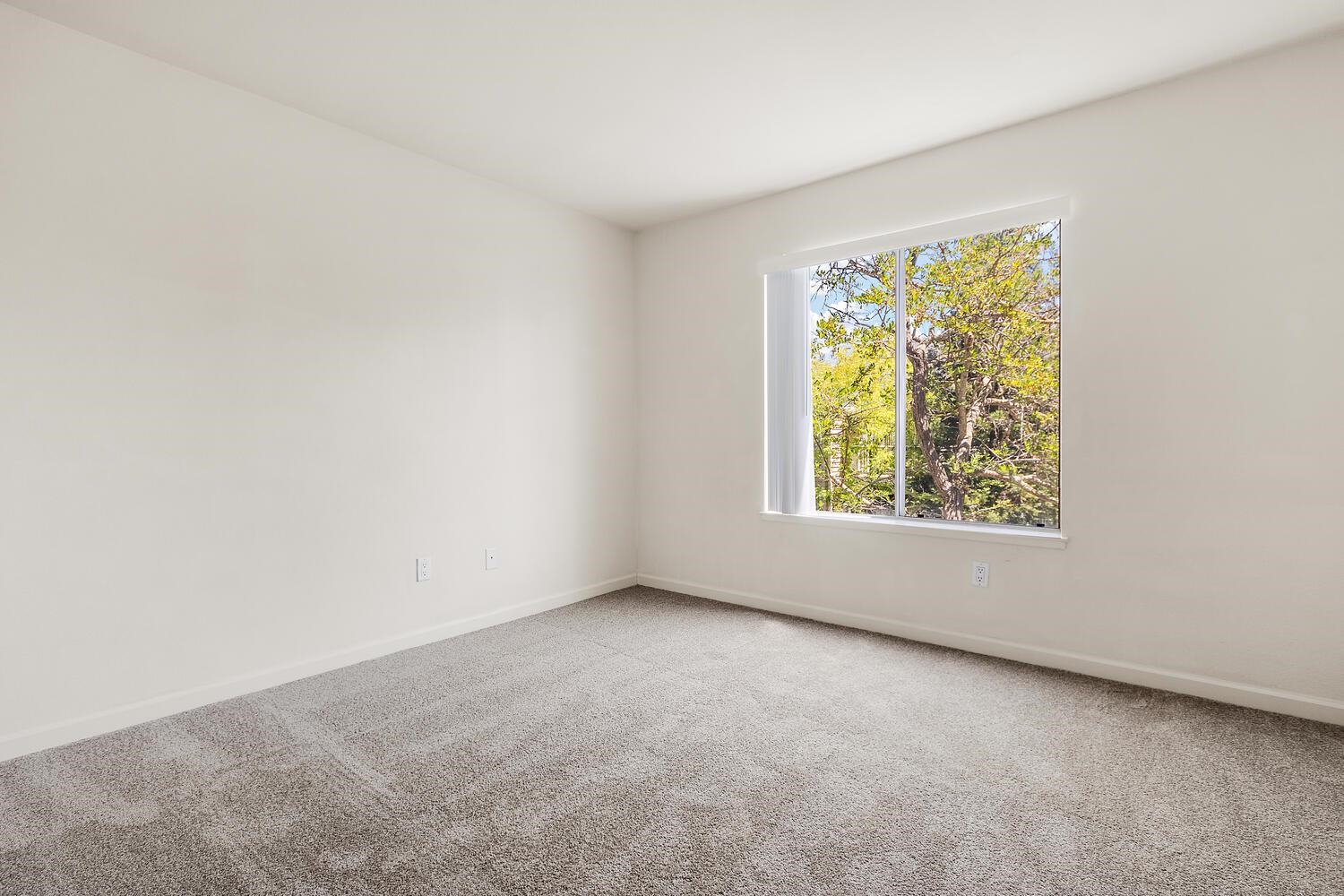 Photo #27: 41122793 Listing: Photo #27