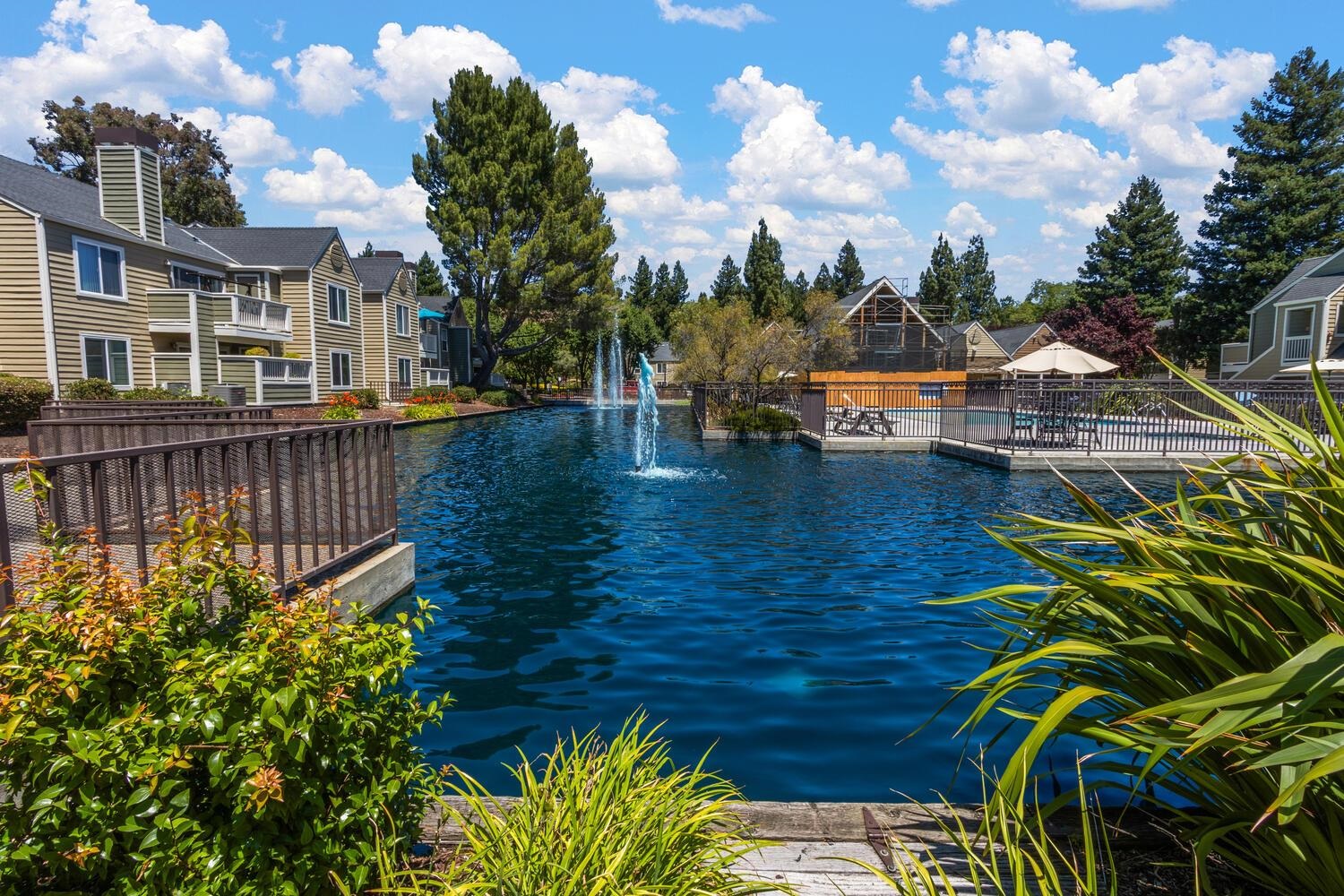 Photo #37: 41122793 Listing: Photo #37