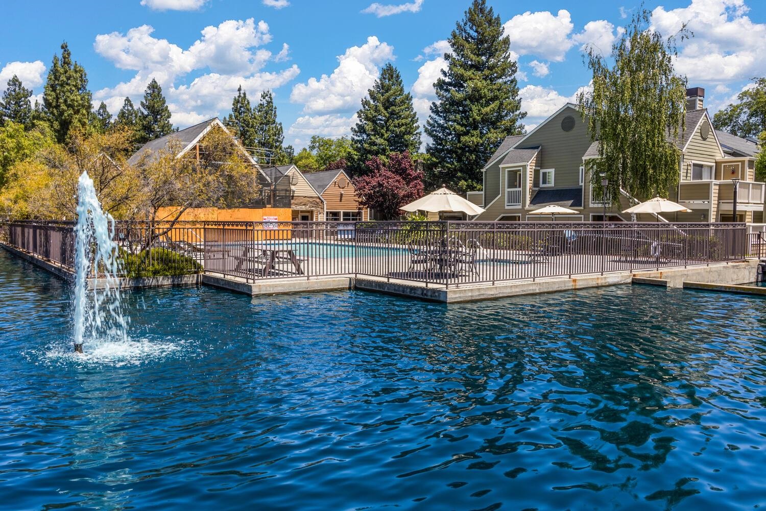 Photo #38: 41122793 Listing: Photo #38