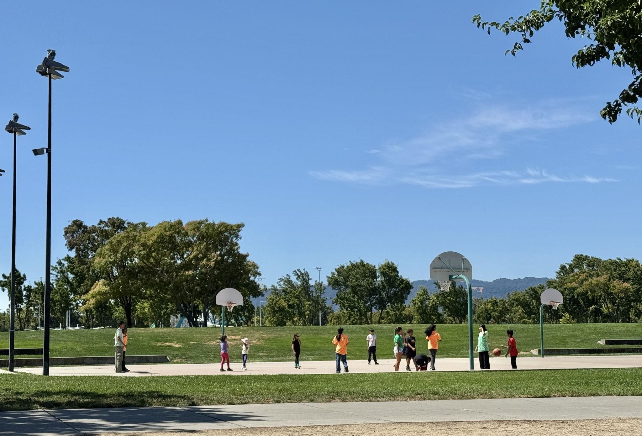 Photo #24: 41122797 Listing: Photo #24