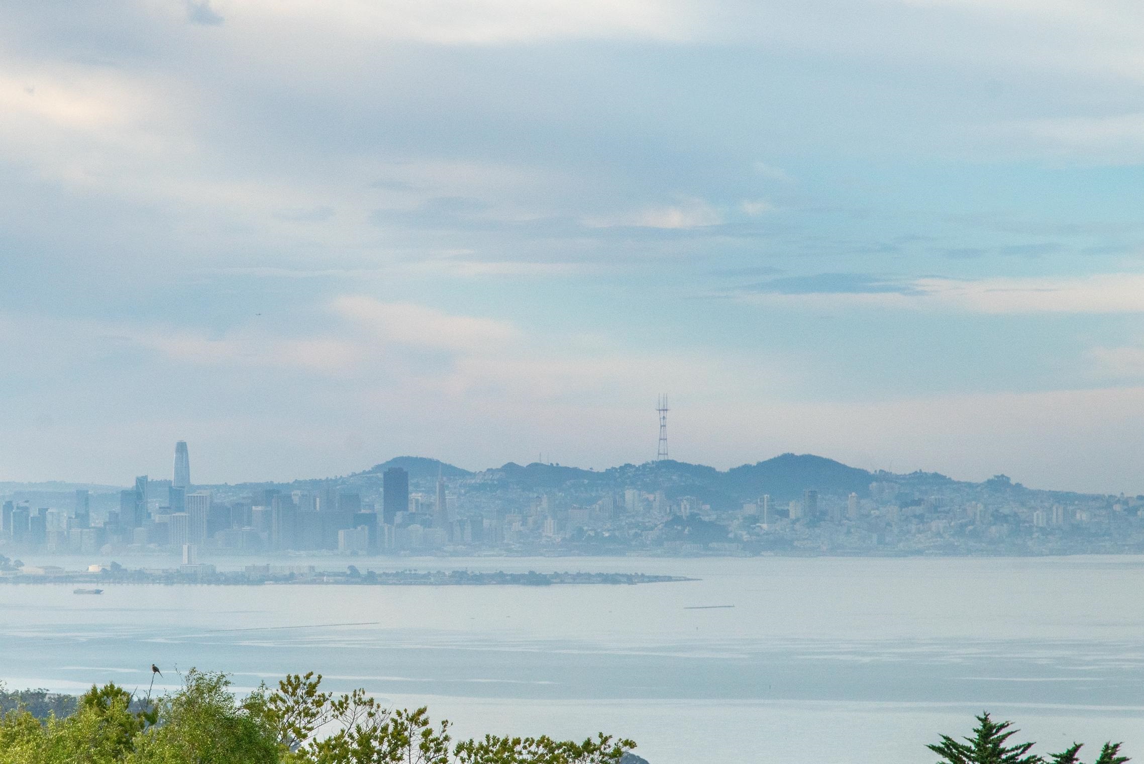 Detail Gallery Image 10 of 23 For 911 Clark Pl, El Cerrito,  CA 94530 - – Beds | – Baths