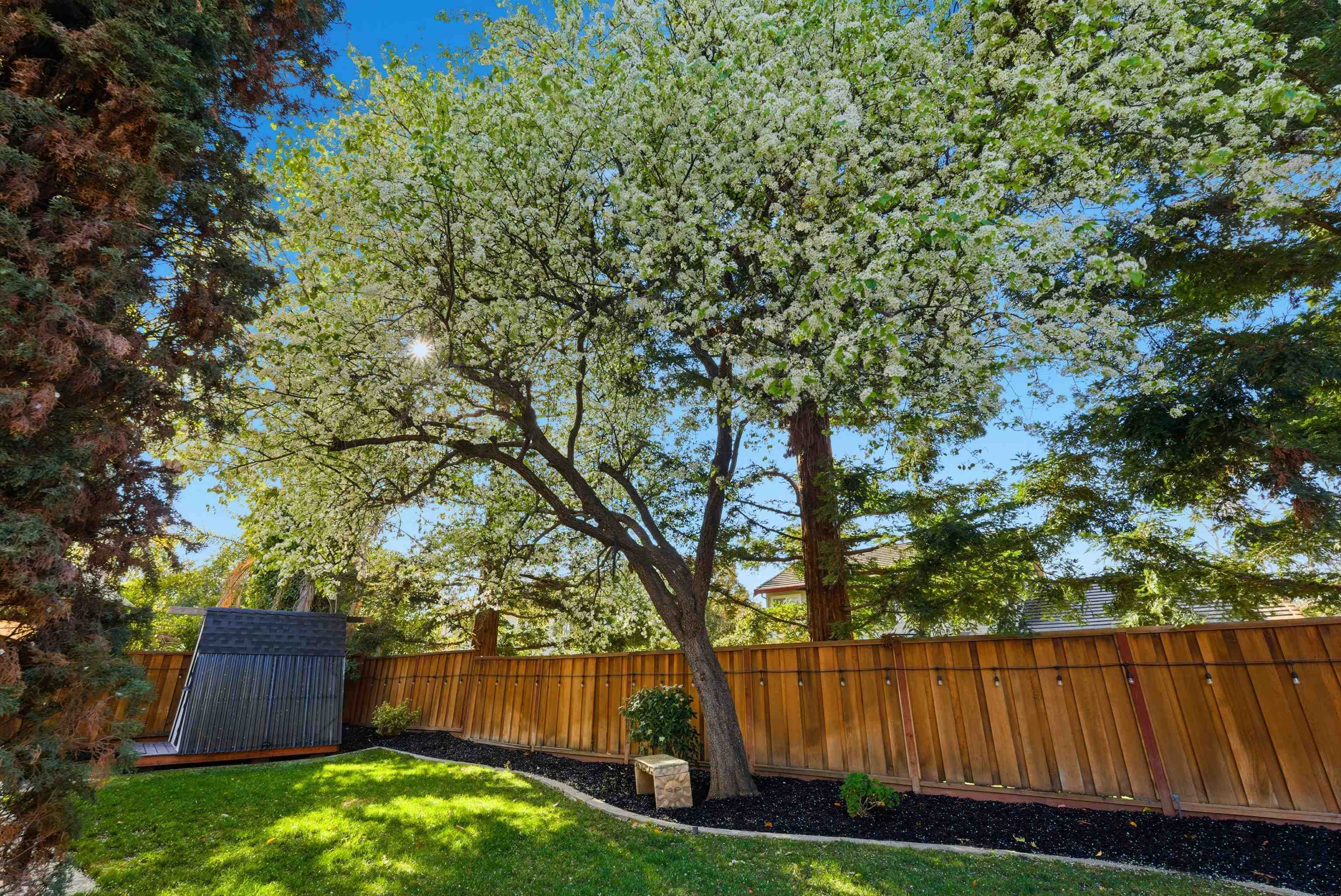Detail Gallery Image 40 of 46 For 1147 Rebecca Dr, Livermore,  CA 94550 - 4 Beds | 3/1 Baths