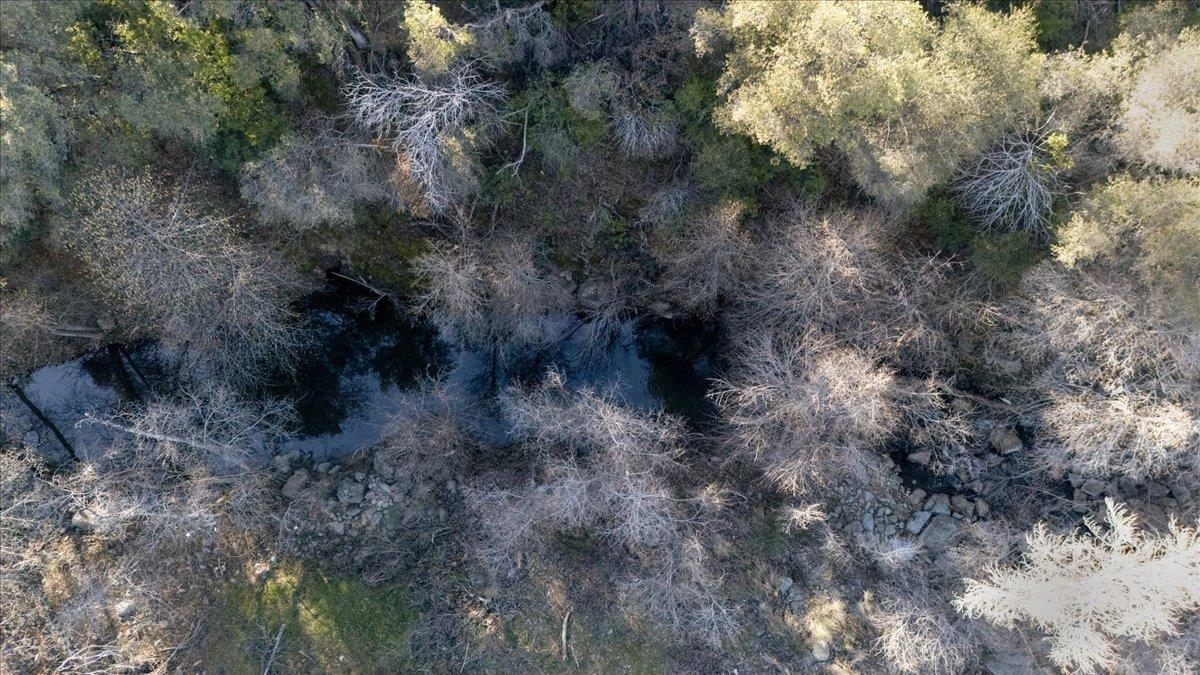 Detail Gallery Image 12 of 18 For Old Wards Ferry, Sonora,  CA 95370 - – Beds | – Baths