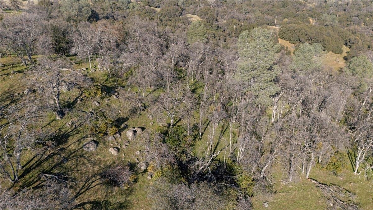 Detail Gallery Image 16 of 18 For Old Wards Ferry, Sonora,  CA 95370 - – Beds | – Baths