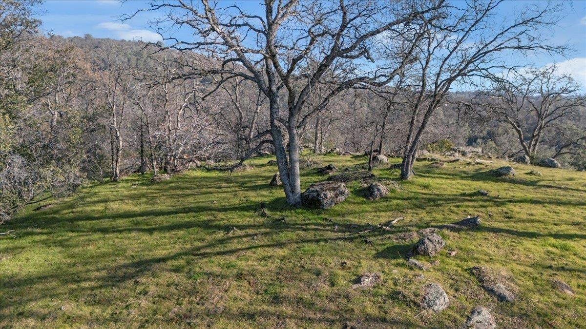 Detail Gallery Image 6 of 18 For Old Wards Ferry, Sonora,  CA 95370 - – Beds | – Baths