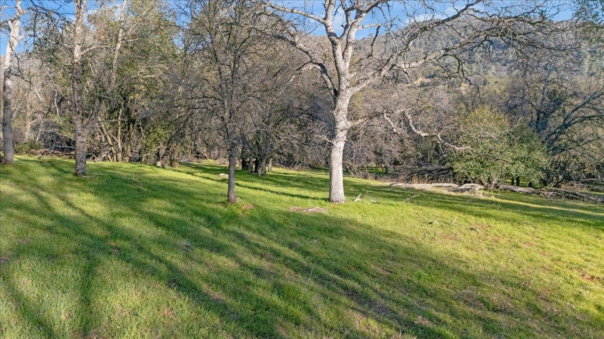 Detail Gallery Image 8 of 18 For Old Wards Ferry, Sonora,  CA 95370 - – Beds | – Baths