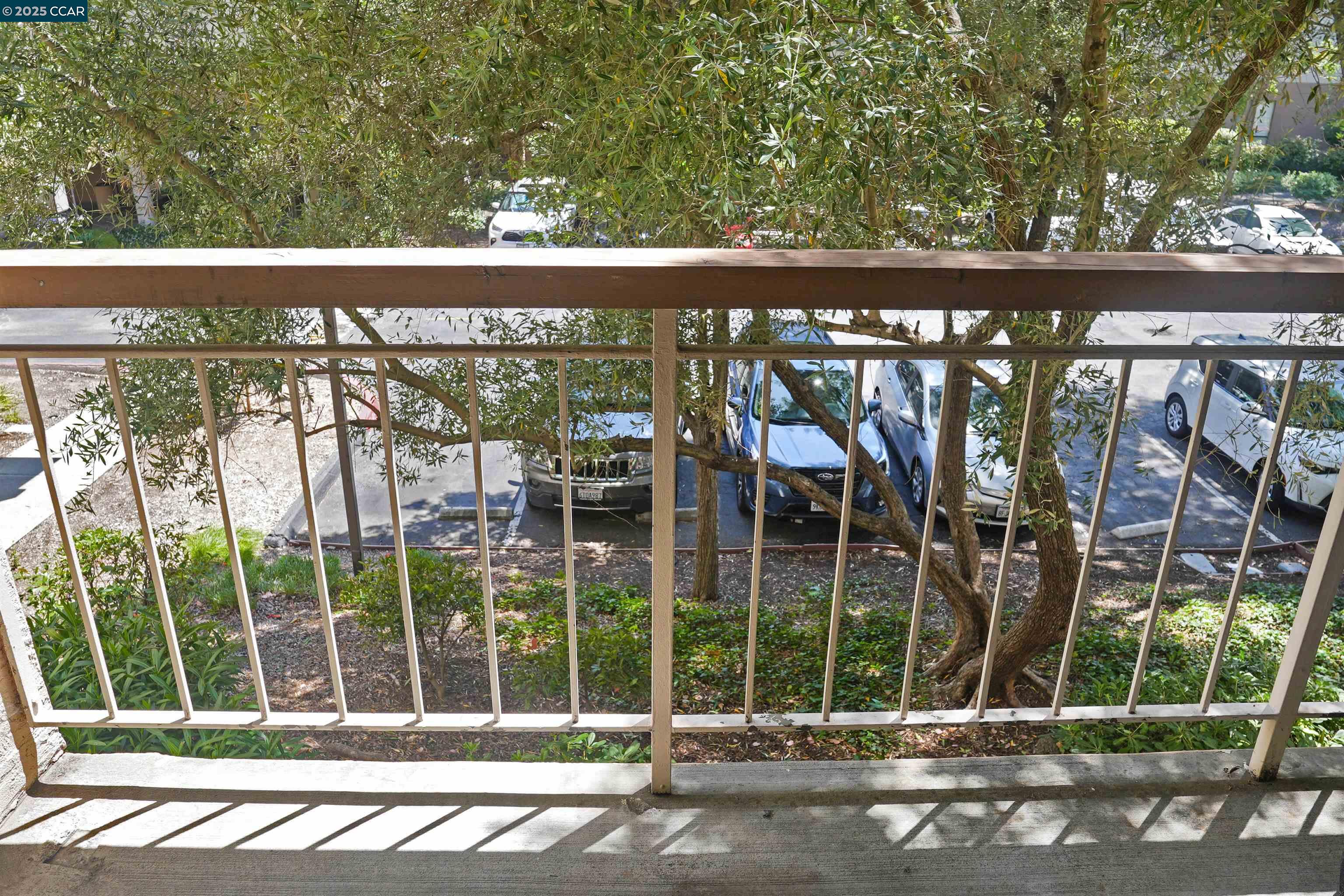 Photo #11: 41122830 Listing: Photo #11