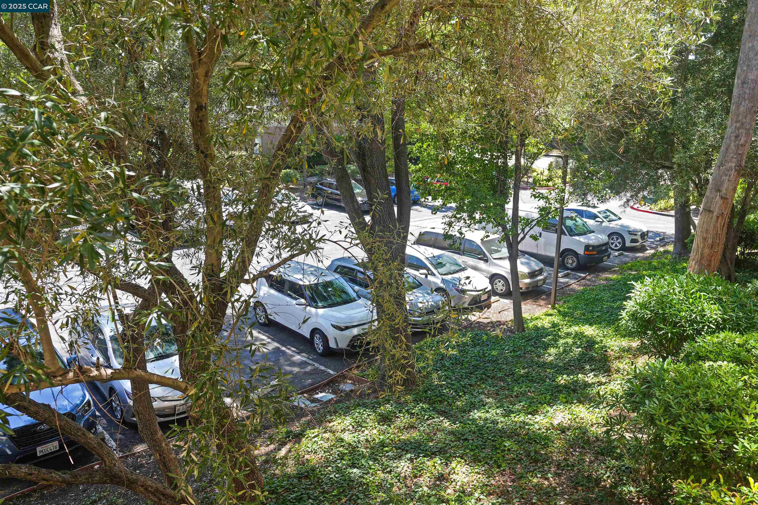 Photo #12: 41122830 Listing: Photo #12