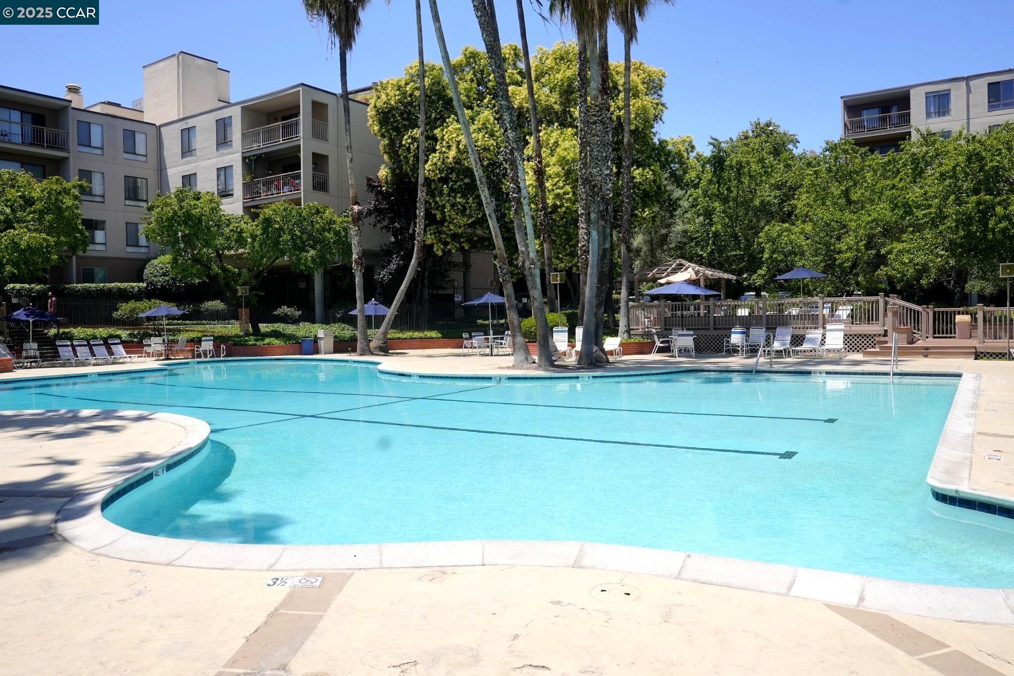 Photo #17: 41122830 Listing: Photo #17