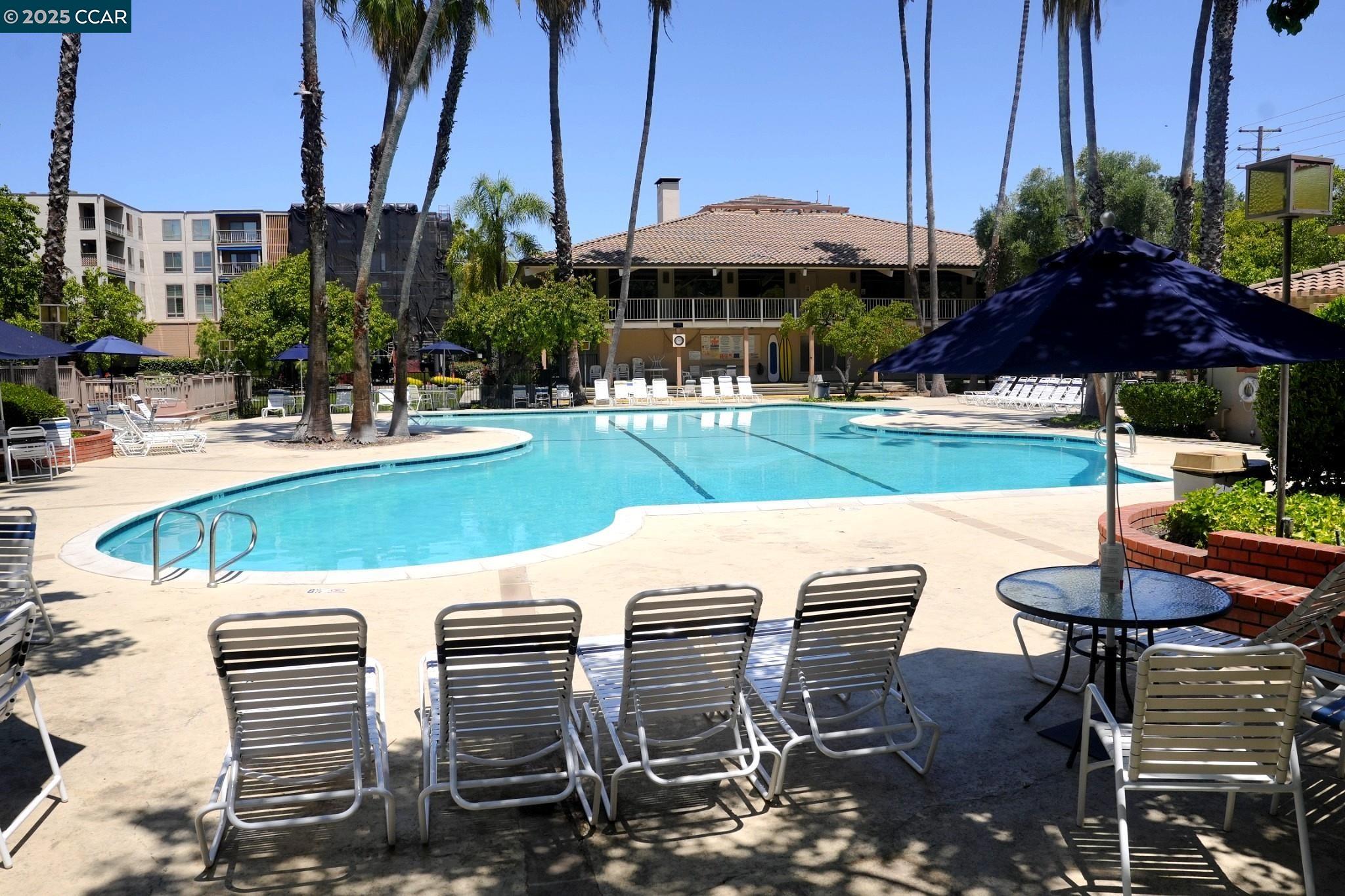 Photo #19: 41122830 Listing: Photo #19