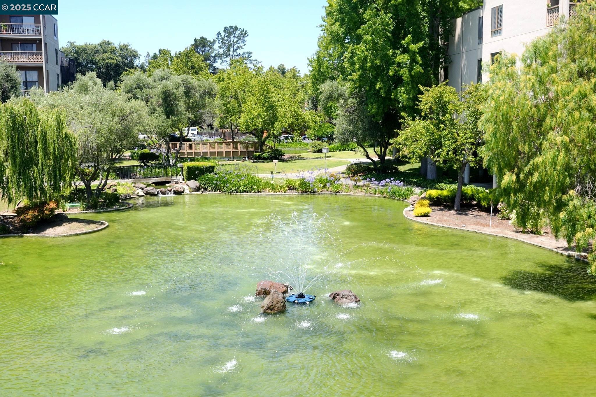 Photo #23: 41122830 Listing: Photo #23