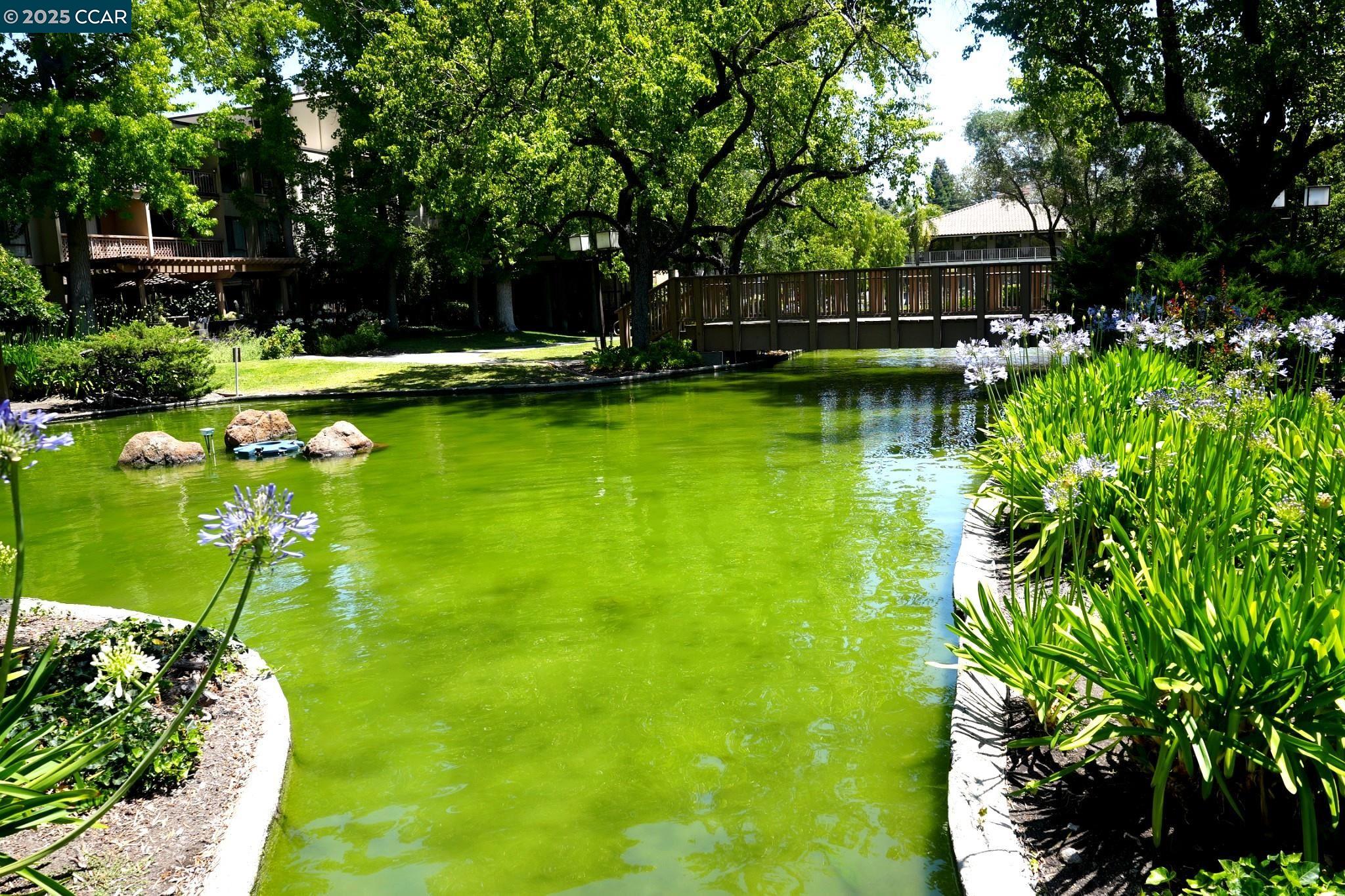 Photo #28: 41122830 Listing: Photo #28