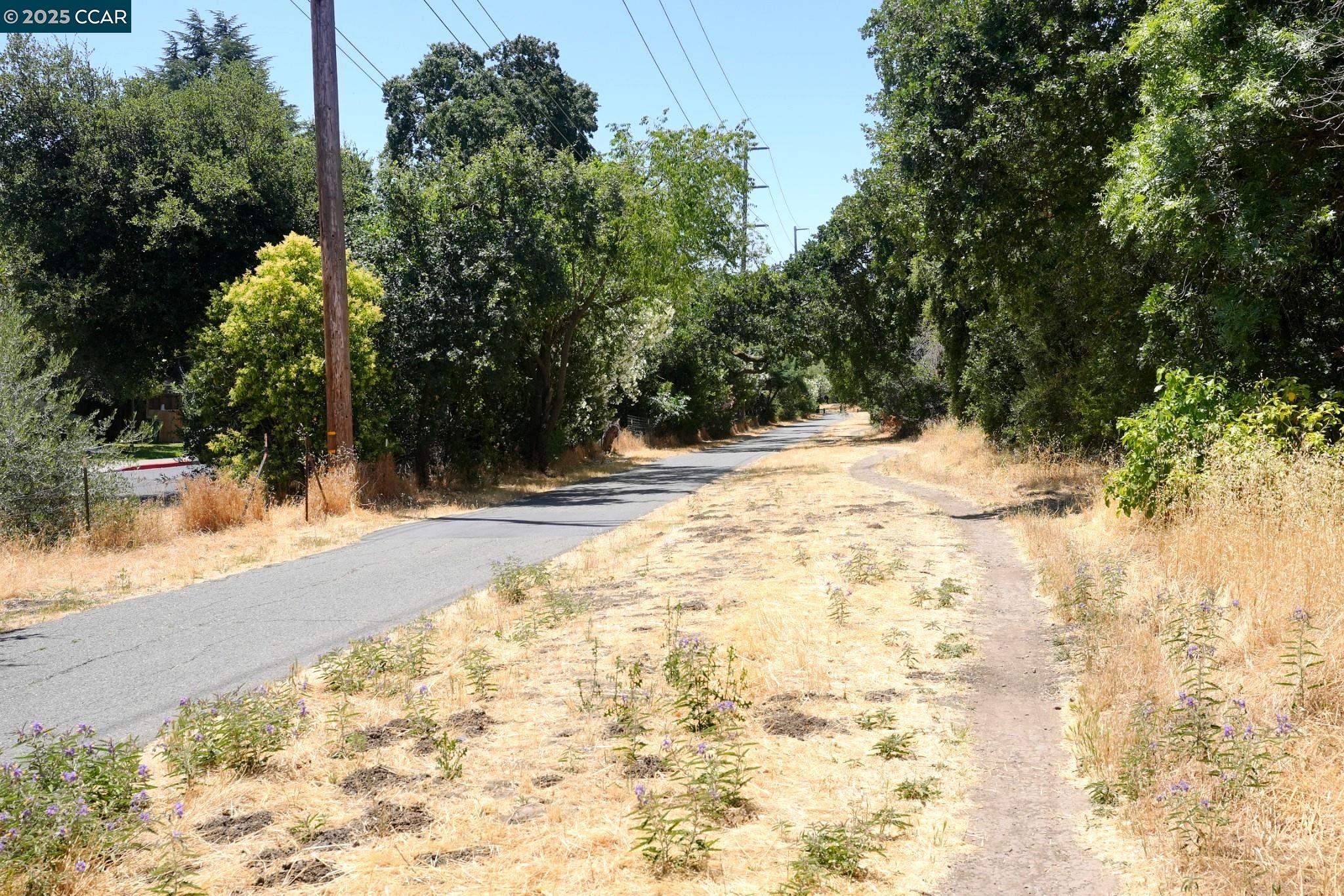 Photo #45: 41122830 Listing: Photo #45