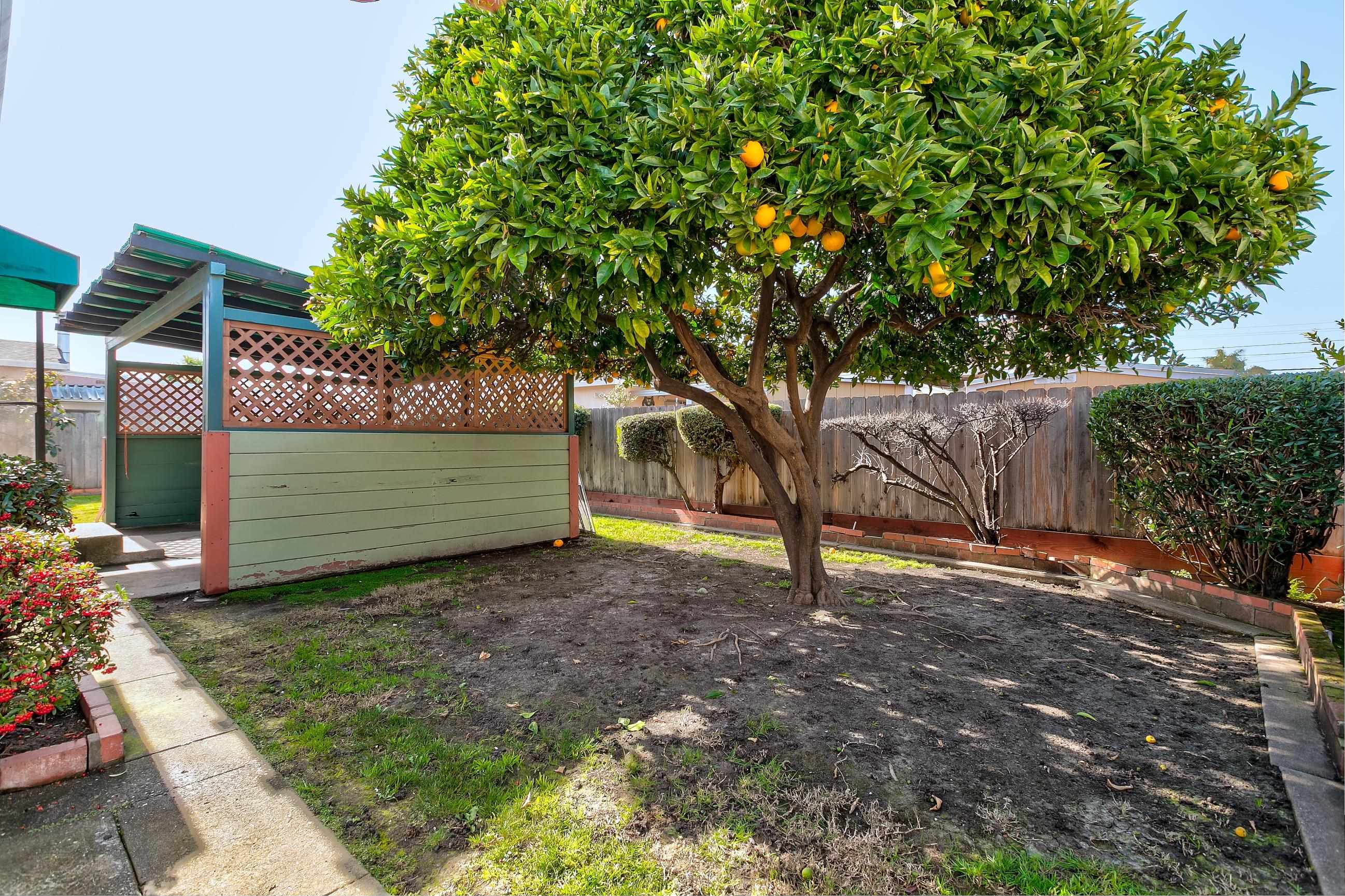 Detail Gallery Image 16 of 20 For 17437 via Frances, San Lorenzo,  CA 94580 - 3 Beds | 2 Baths