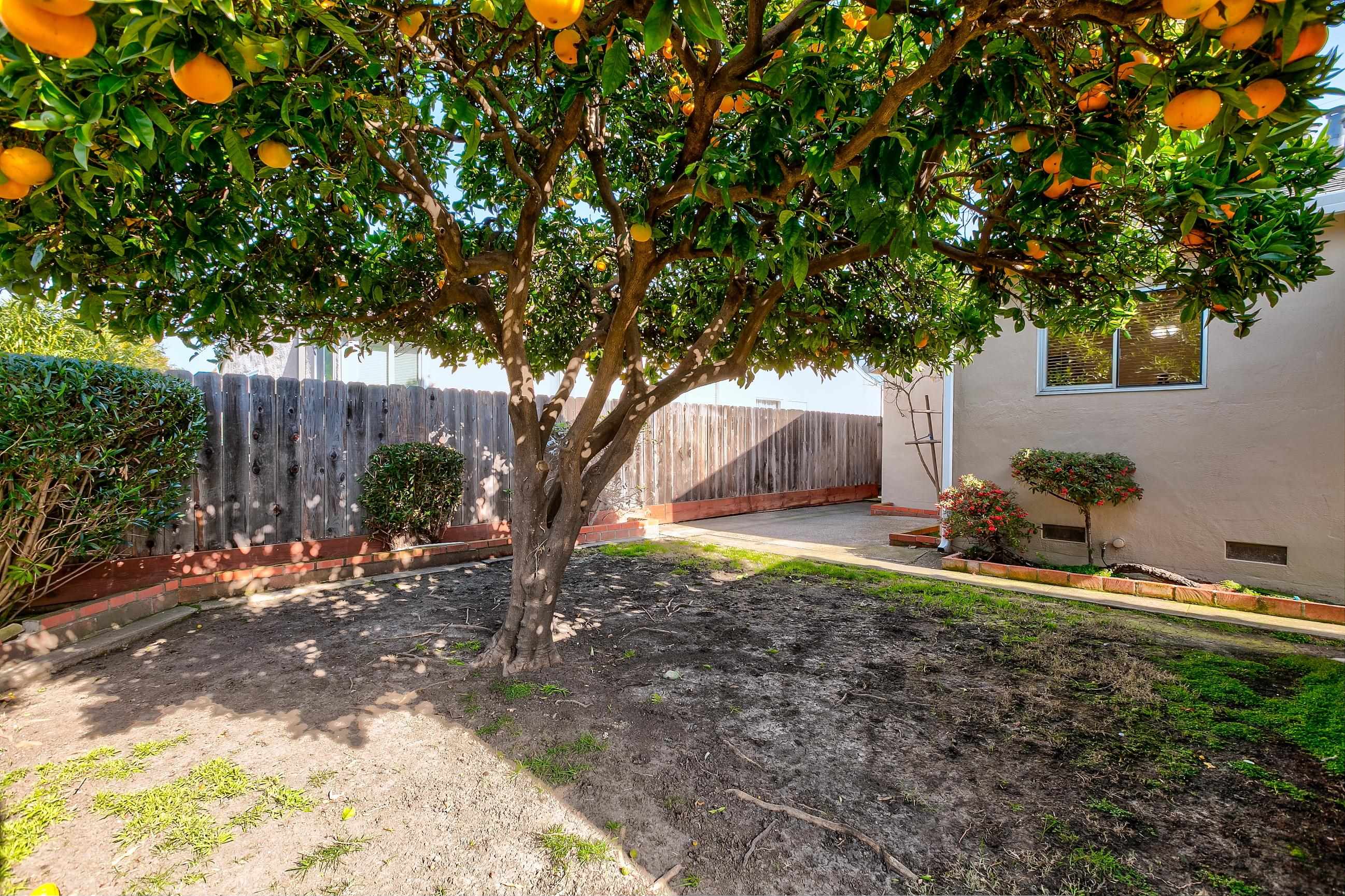 Detail Gallery Image 17 of 20 For 17437 via Frances, San Lorenzo,  CA 94580 - 3 Beds | 2 Baths