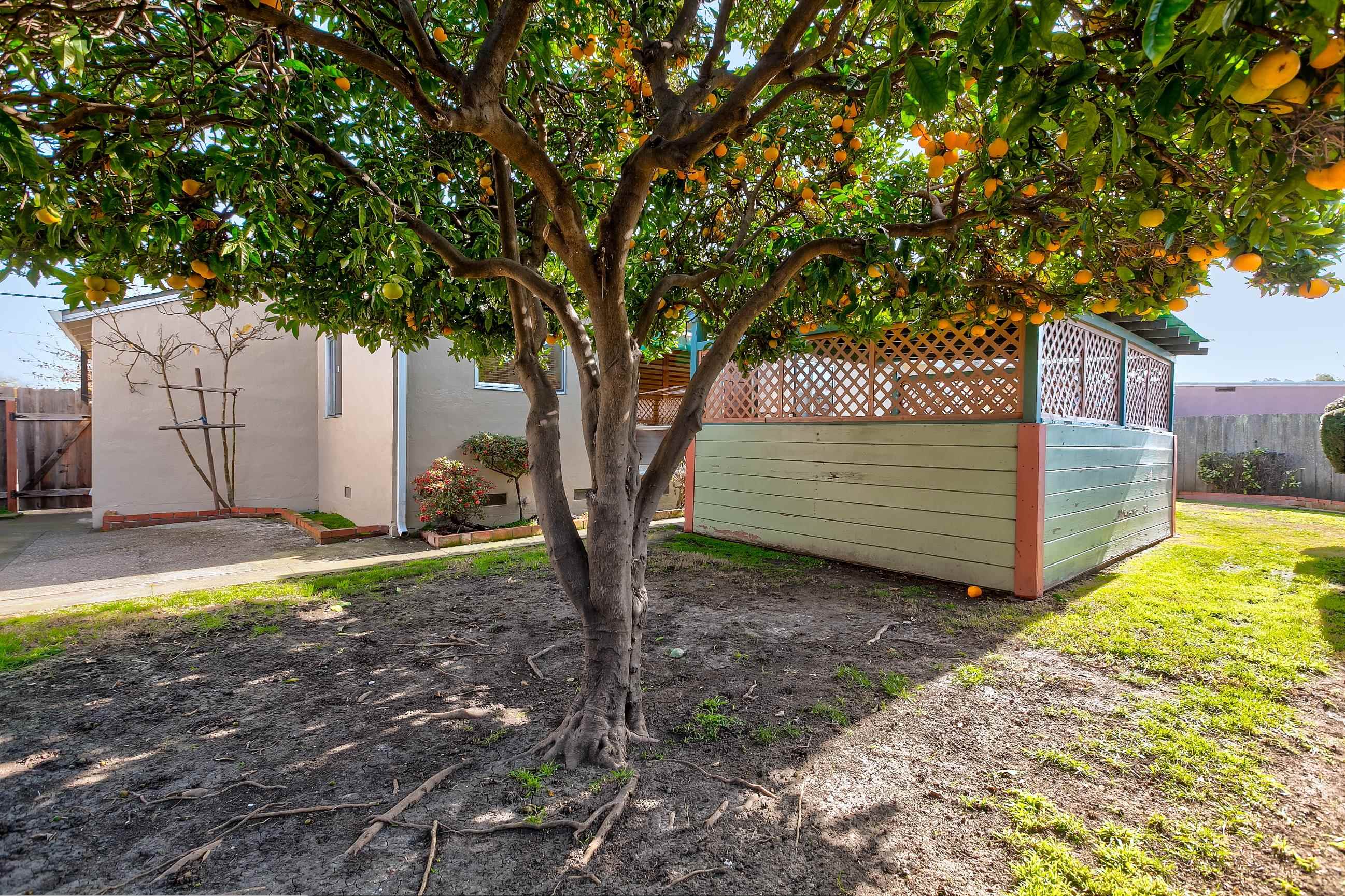 Detail Gallery Image 18 of 20 For 17437 via Frances, San Lorenzo,  CA 94580 - 3 Beds | 2 Baths