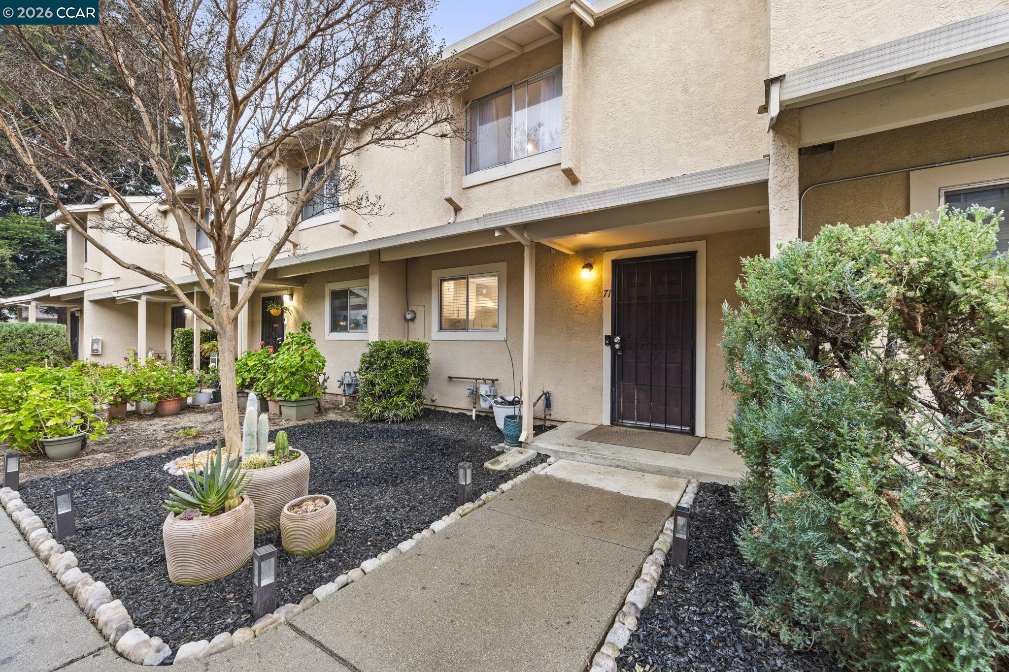 Front Image Thumbnail for CC41122866