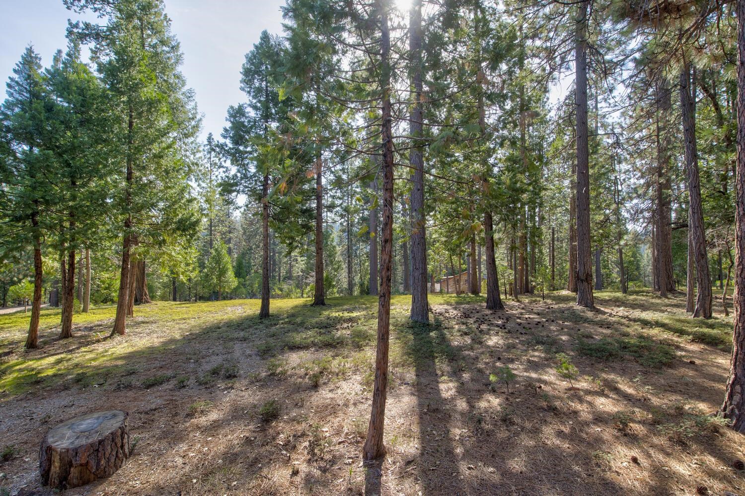 Detail Gallery Image 31 of 53 For 1919 Airacobra, Arnold,  CA 95223-000 - 3 Beds | 2 Baths