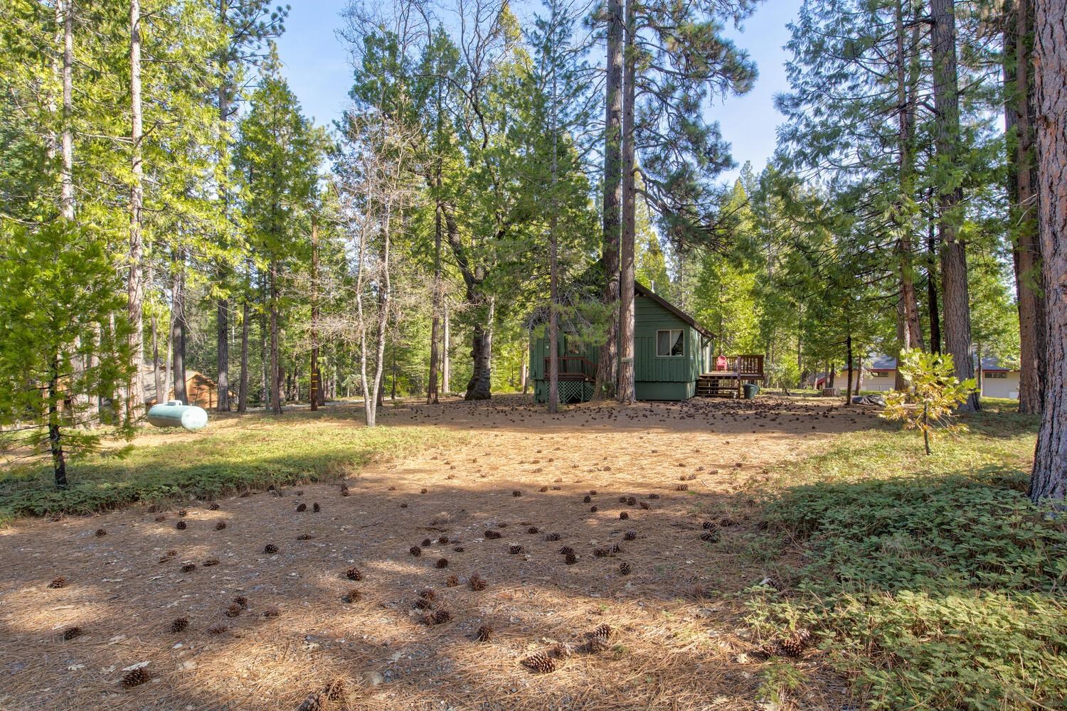 Detail Gallery Image 35 of 53 For 1919 Airacobra, Arnold,  CA 95223-000 - 3 Beds | 2 Baths