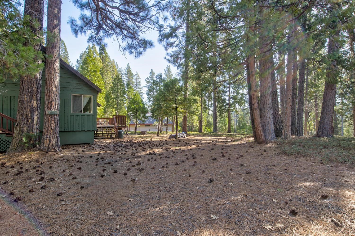 Detail Gallery Image 36 of 53 For 1919 Airacobra, Arnold,  CA 95223-000 - 3 Beds | 2 Baths