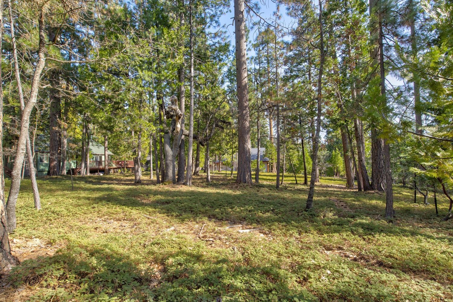 Detail Gallery Image 40 of 53 For 1919 Airacobra, Arnold,  CA 95223-000 - 3 Beds | 2 Baths