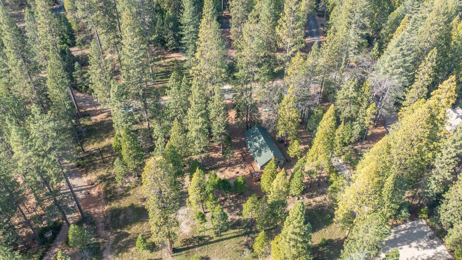 Detail Gallery Image 42 of 53 For 1919 Airacobra, Arnold,  CA 95223-000 - 3 Beds | 2 Baths