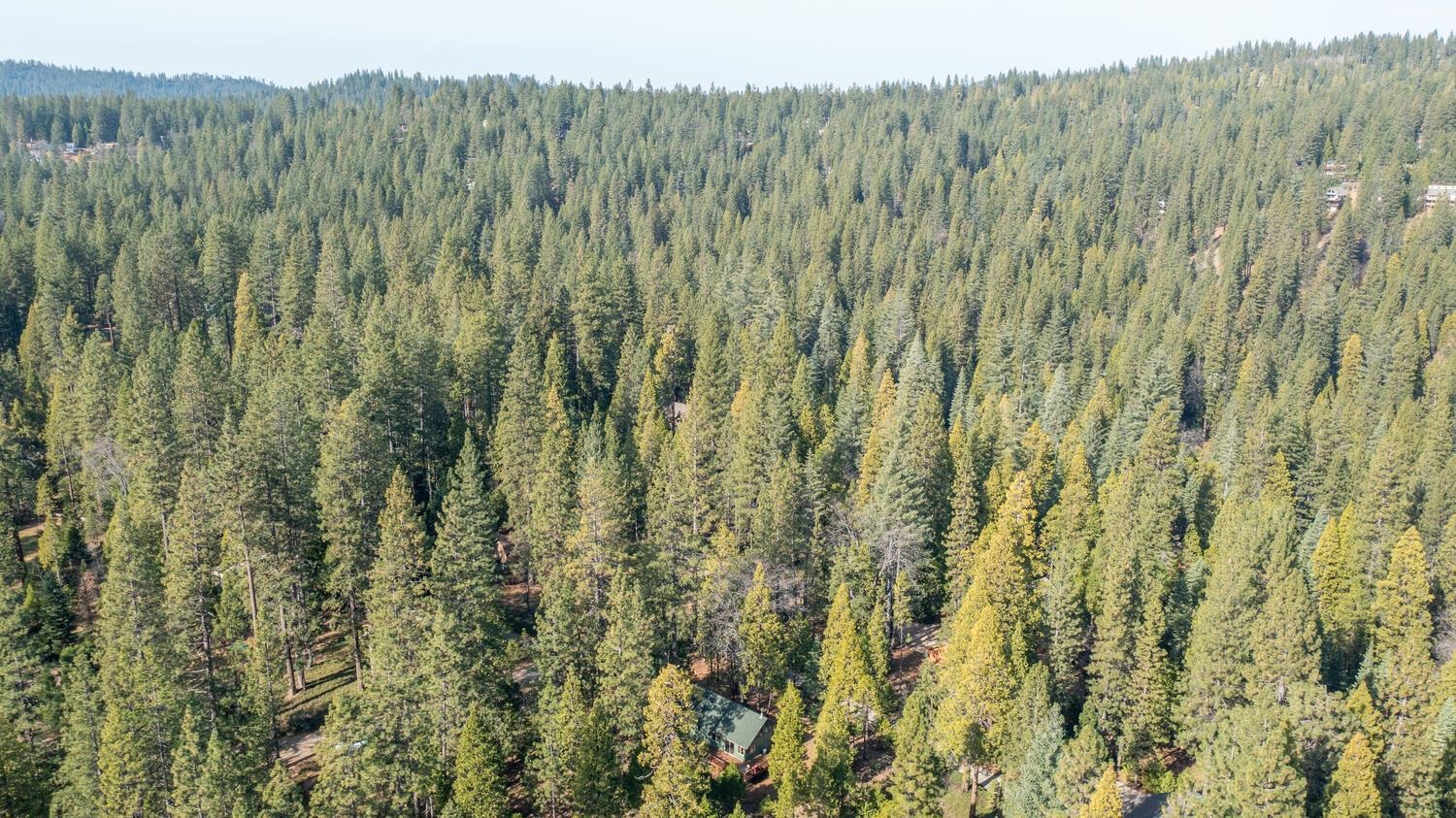 Detail Gallery Image 45 of 53 For 1919 Airacobra, Arnold,  CA 95223-000 - 3 Beds | 2 Baths