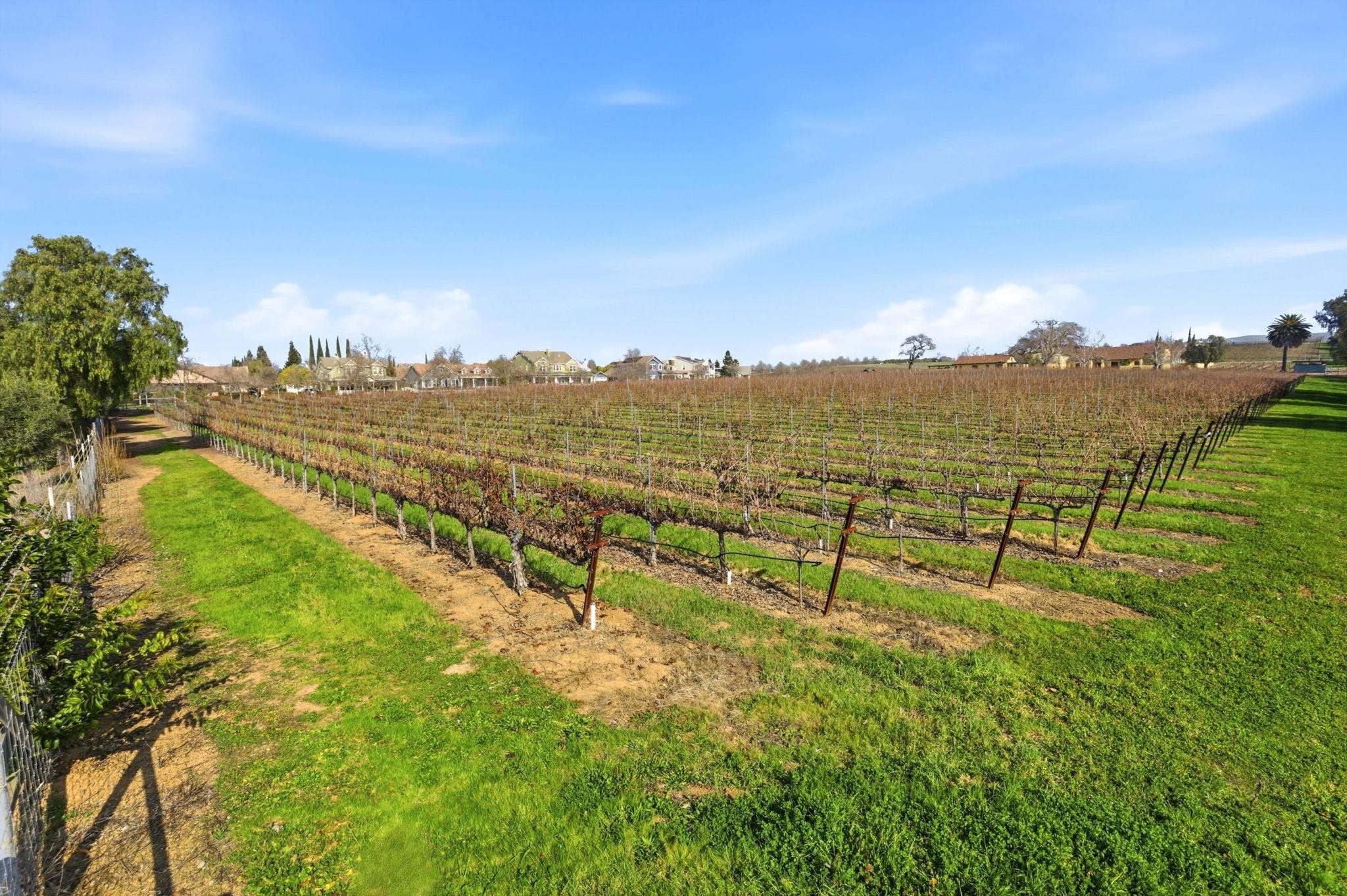 Detail Gallery Image 48 of 50 For 3075 Olivoro Ct, Livermore,  CA 94550 - 3 Beds | 2/1 Baths