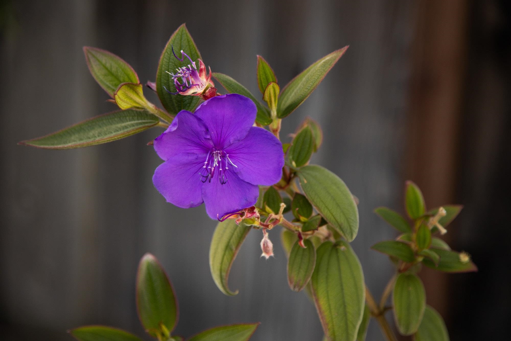 Detail Gallery Image 42 of 57 For 230 Belleview Dr, San Leandro,  CA 94577 - 2 Beds | 2 Baths