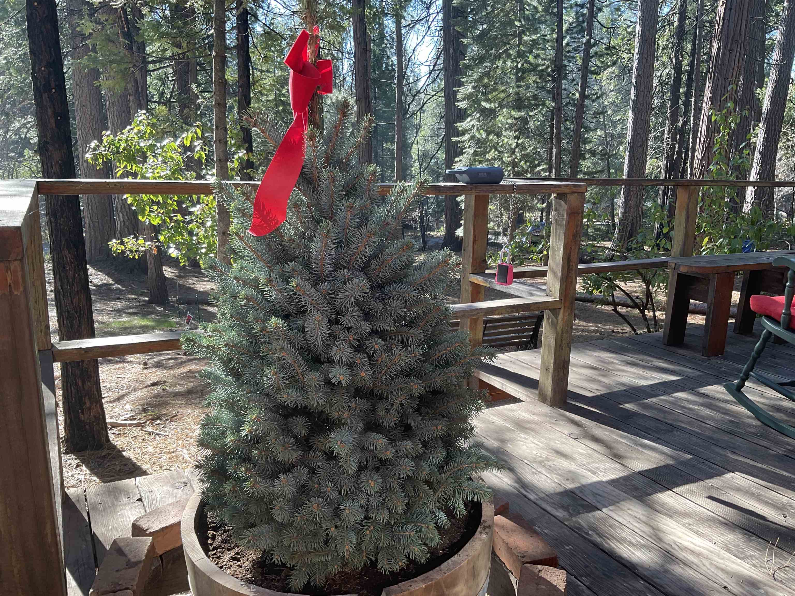 Detail Gallery Image 6 of 20 For 2732 Pine, Arnold,  CA 95223 - 1 Beds | 1 Baths