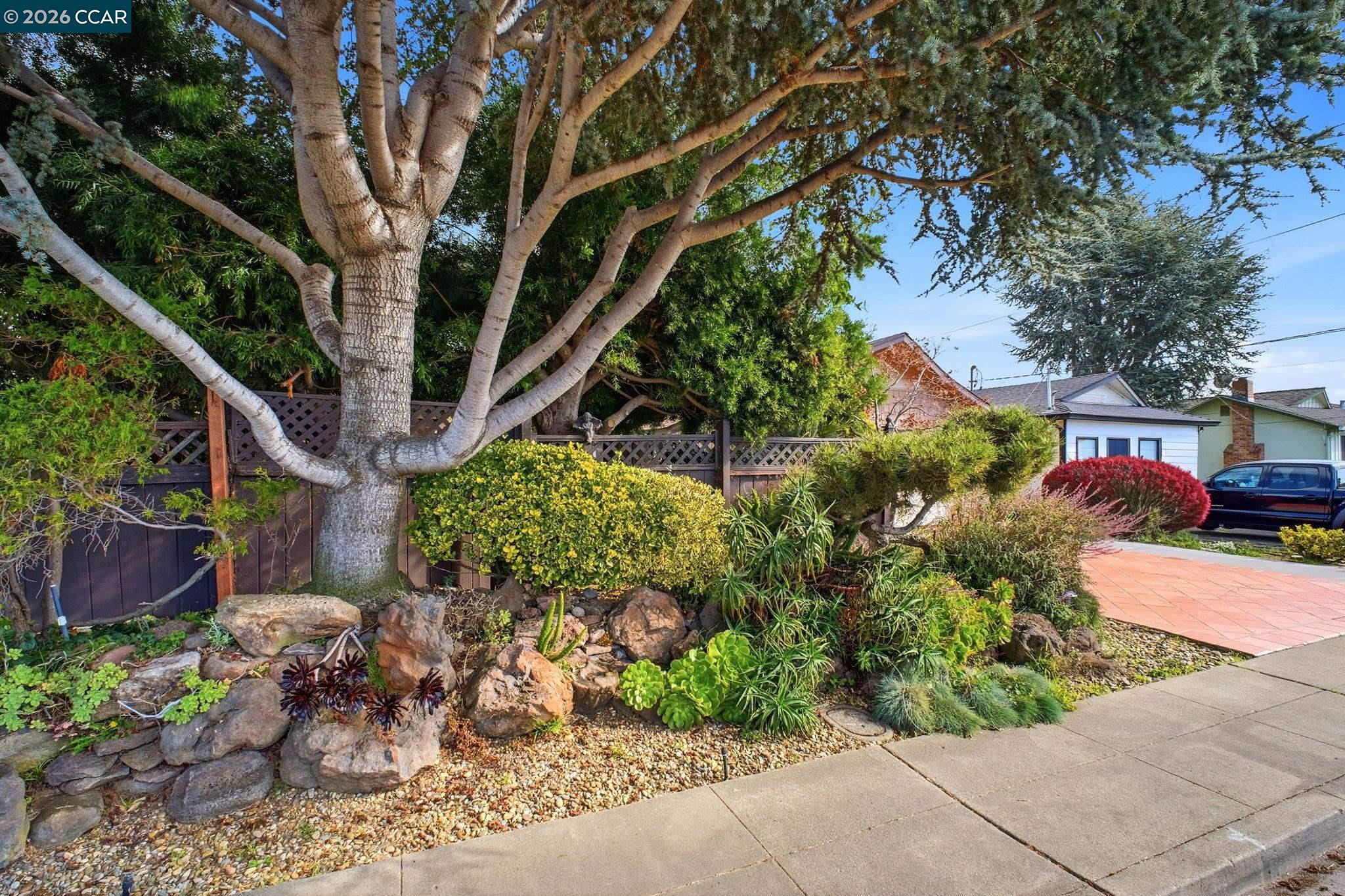 Detail Gallery Image 3 of 43 For 16132 via Catherine, San Lorenzo,  CA 94580 - 3 Beds | 2 Baths