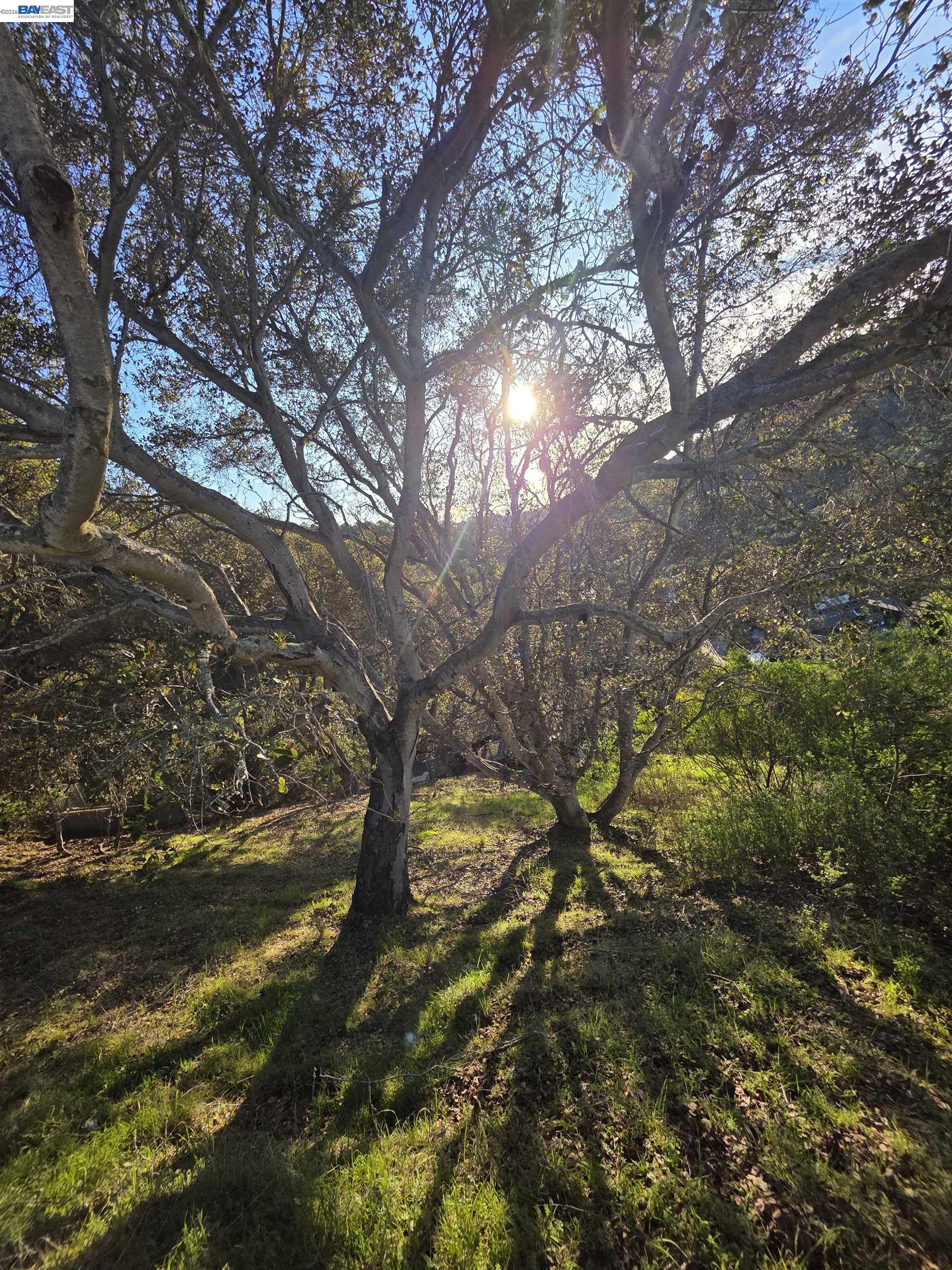 Front Image Thumbnail for BE41122902