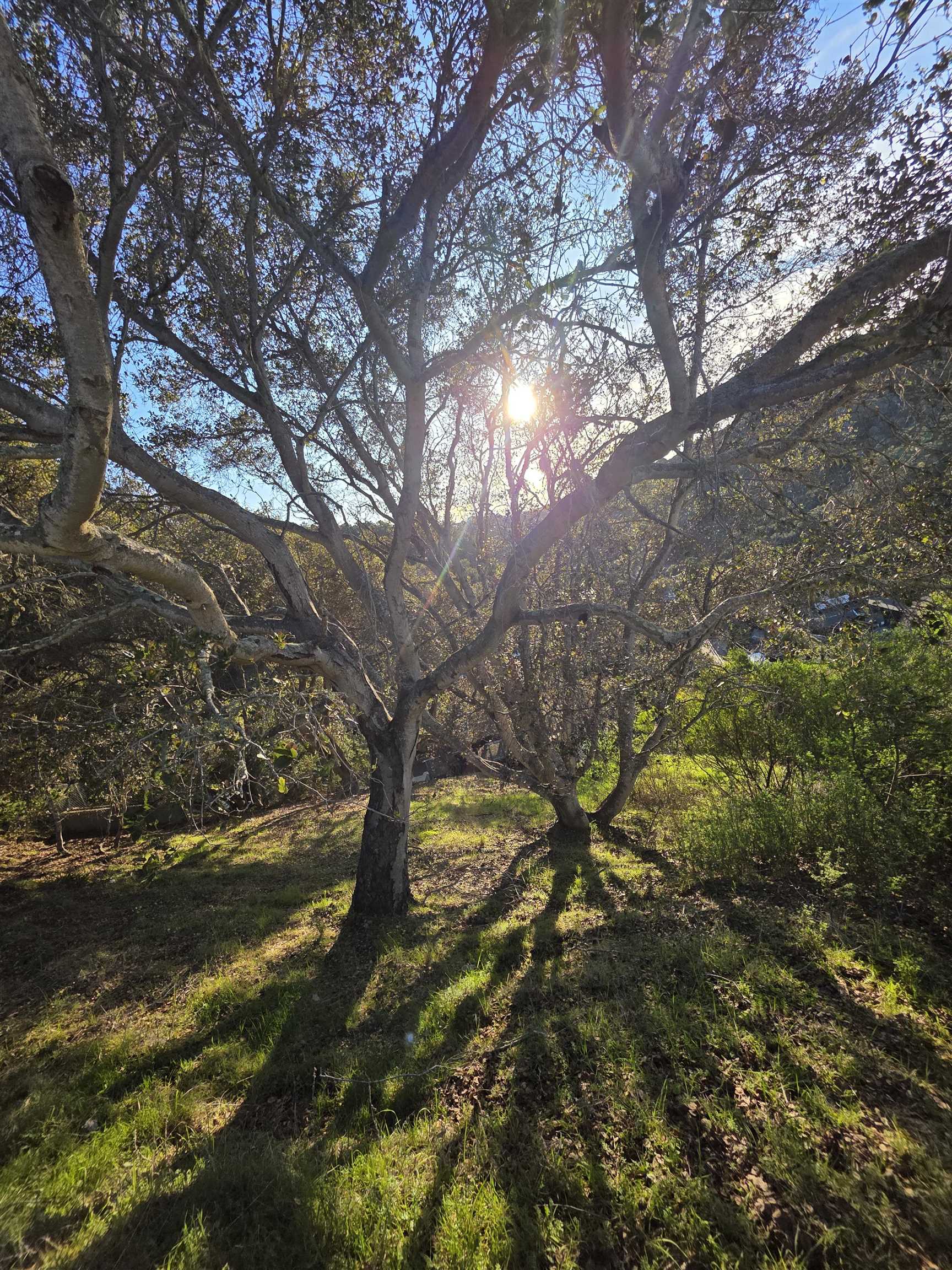 Front Image Thumbnail for BE41122902