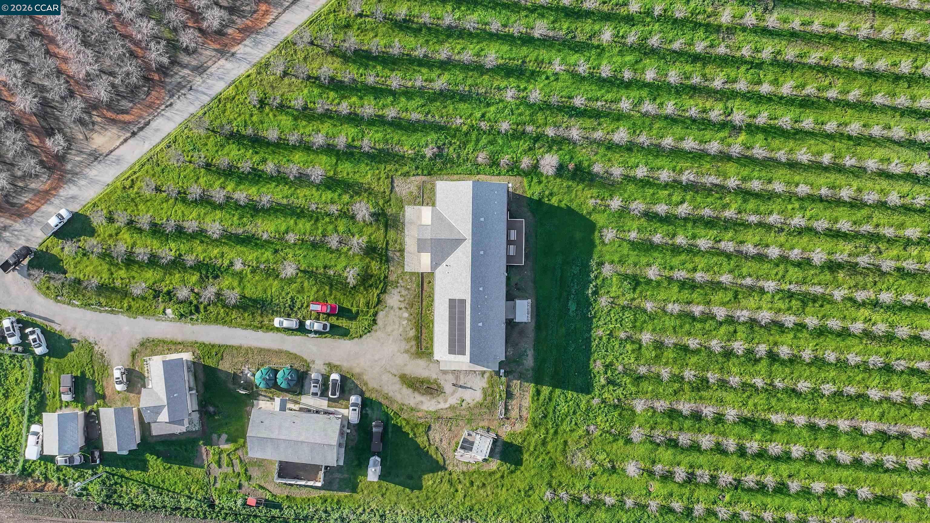 Front Image Thumbnail for CC41122907