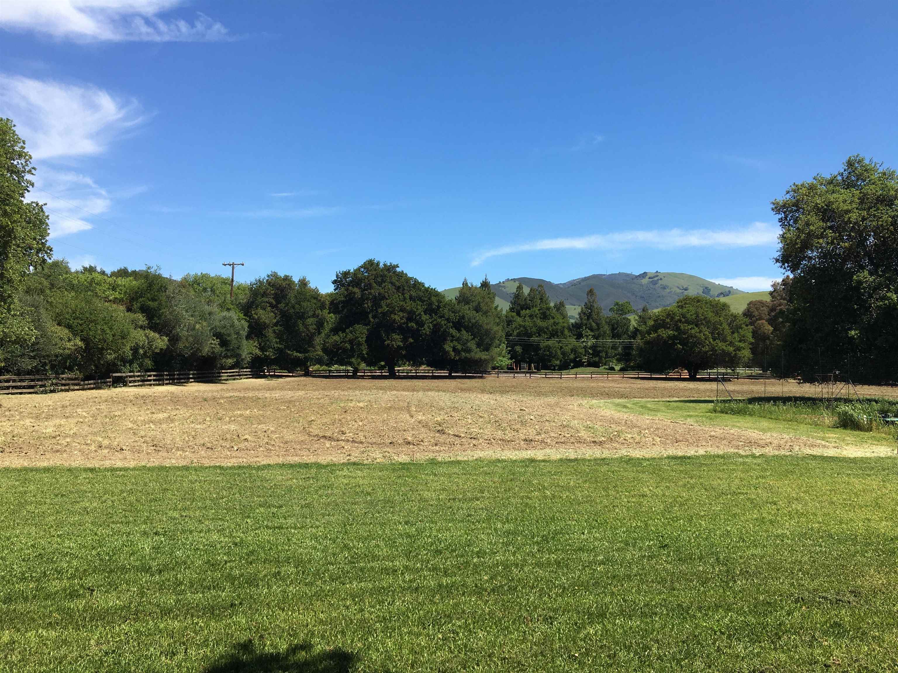 Detail Gallery Image 4 of 9 For 401 Pine Creek Road, Walnut Creek,  CA 94598-5133 - 2 Beds | 1/1 Baths