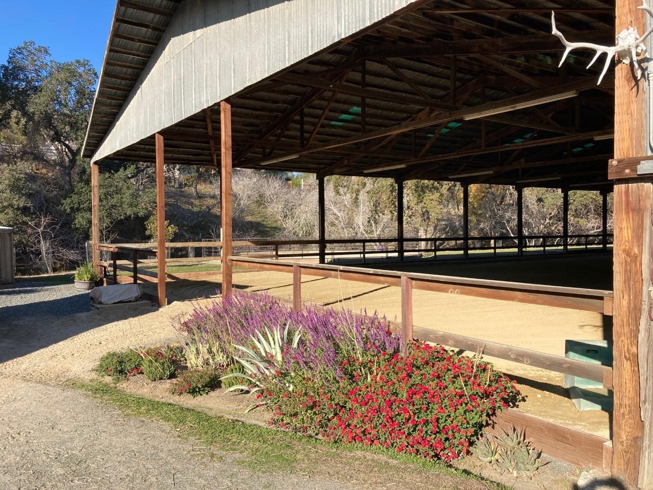 Detail Gallery Image 6 of 9 For 401 Pine Creek Road, Walnut Creek,  CA 94598-5133 - 2 Beds | 1/1 Baths