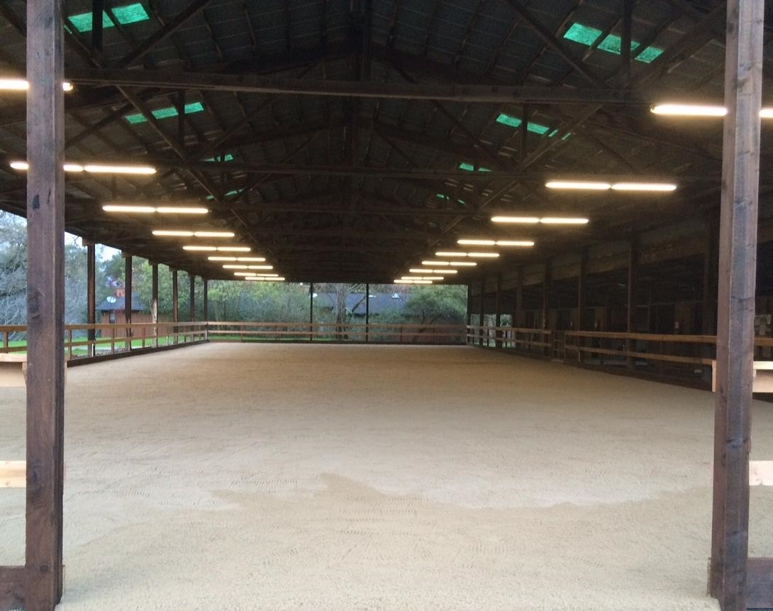 Detail Gallery Image 8 of 10 For 401 Pine Creek Road, Walnut Creek,  CA 94598-5133 - 2 Beds | 1/1 Baths