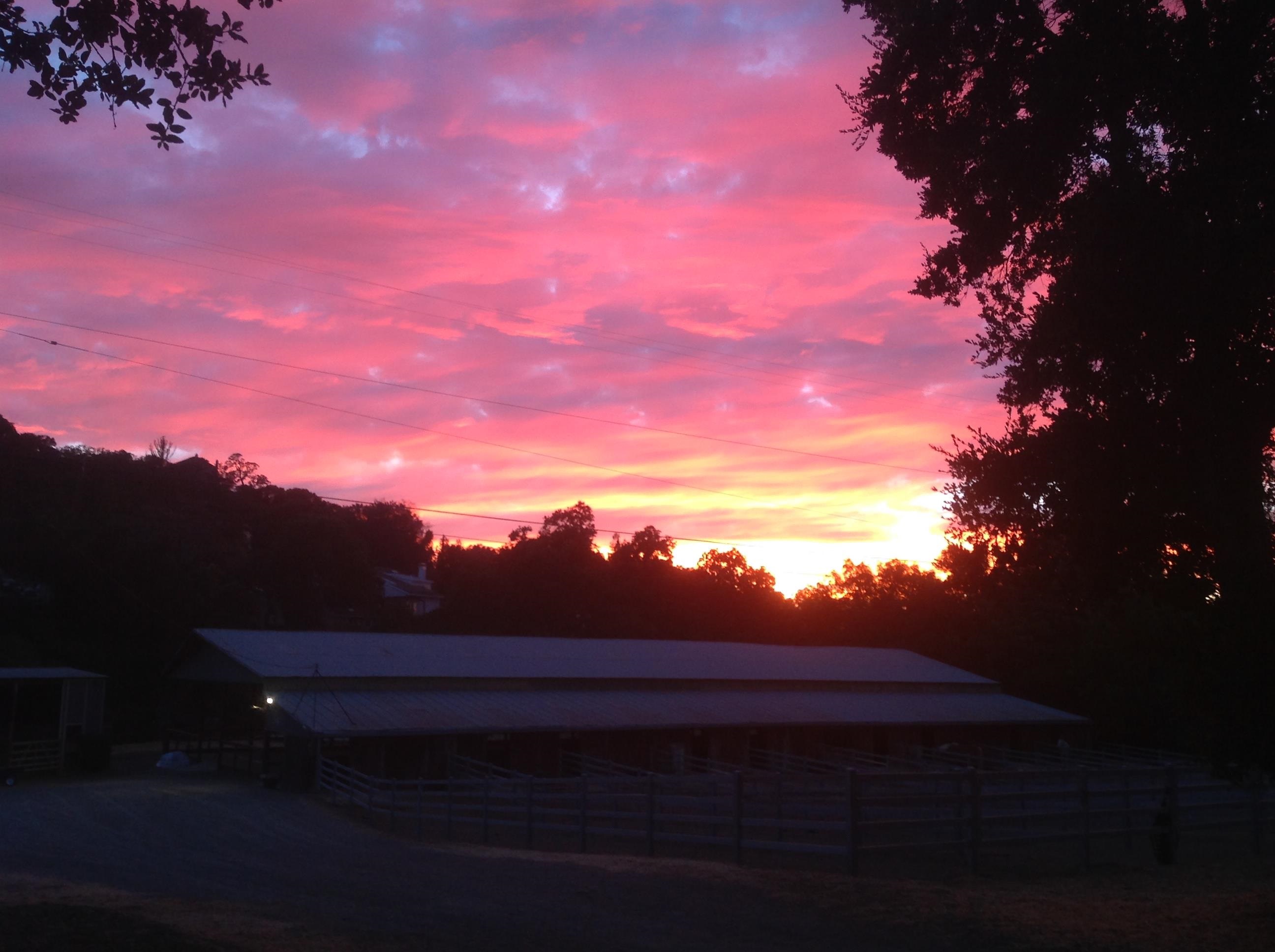 Detail Gallery Image 10 of 10 For 401 Pine Creek Road, Walnut Creek,  CA 94598-5133 - 2 Beds | 1/1 Baths