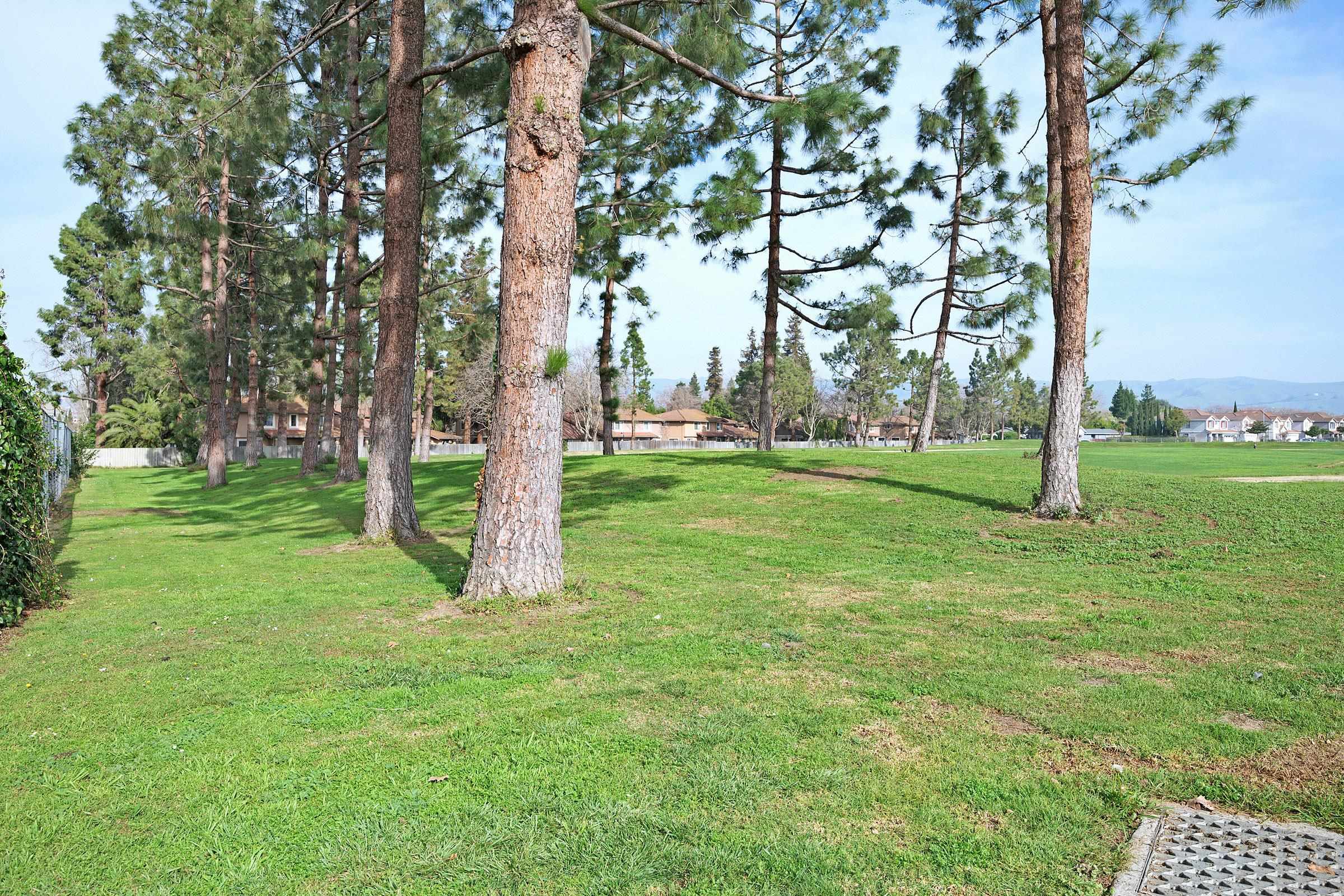 Photo #51: 41122927 Listing: Photo #51