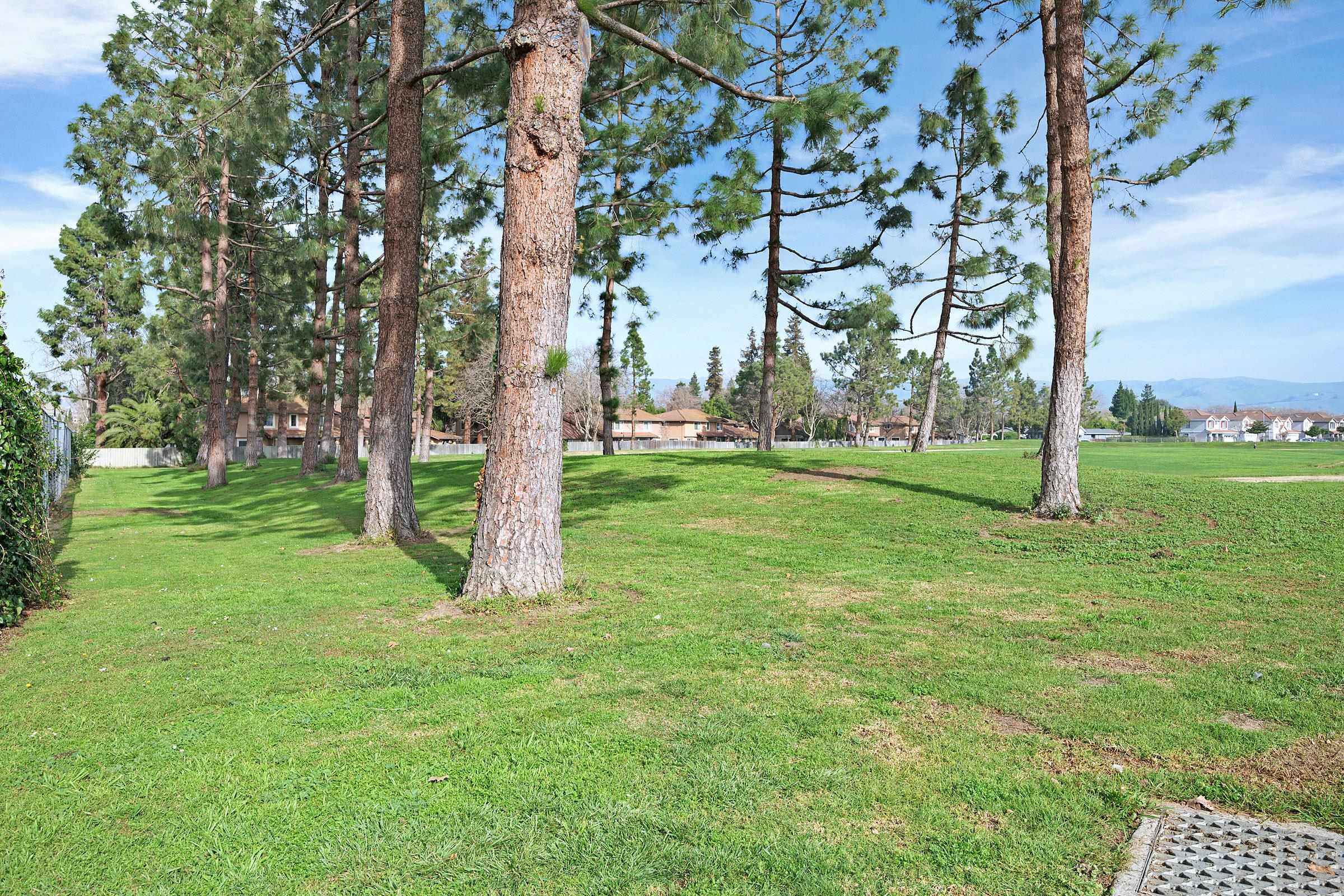 Photo #52: 41122927 Listing: Photo #52