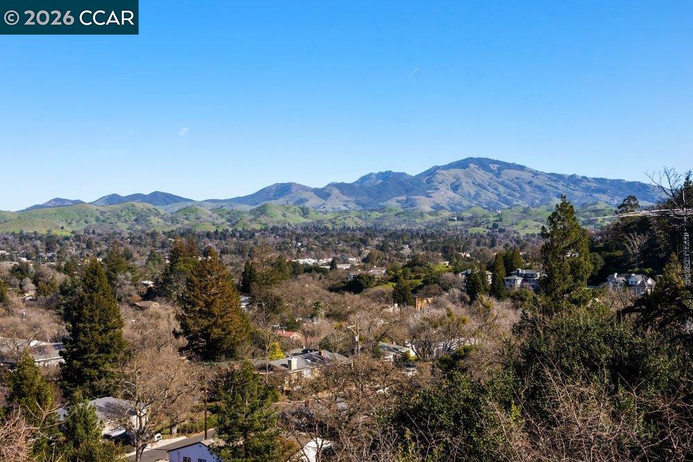 Detail Gallery Image 31 of 59 For 2083 Magnolia Way, Walnut Creek,  CA 94595 - 7 Beds | 4/1 Baths