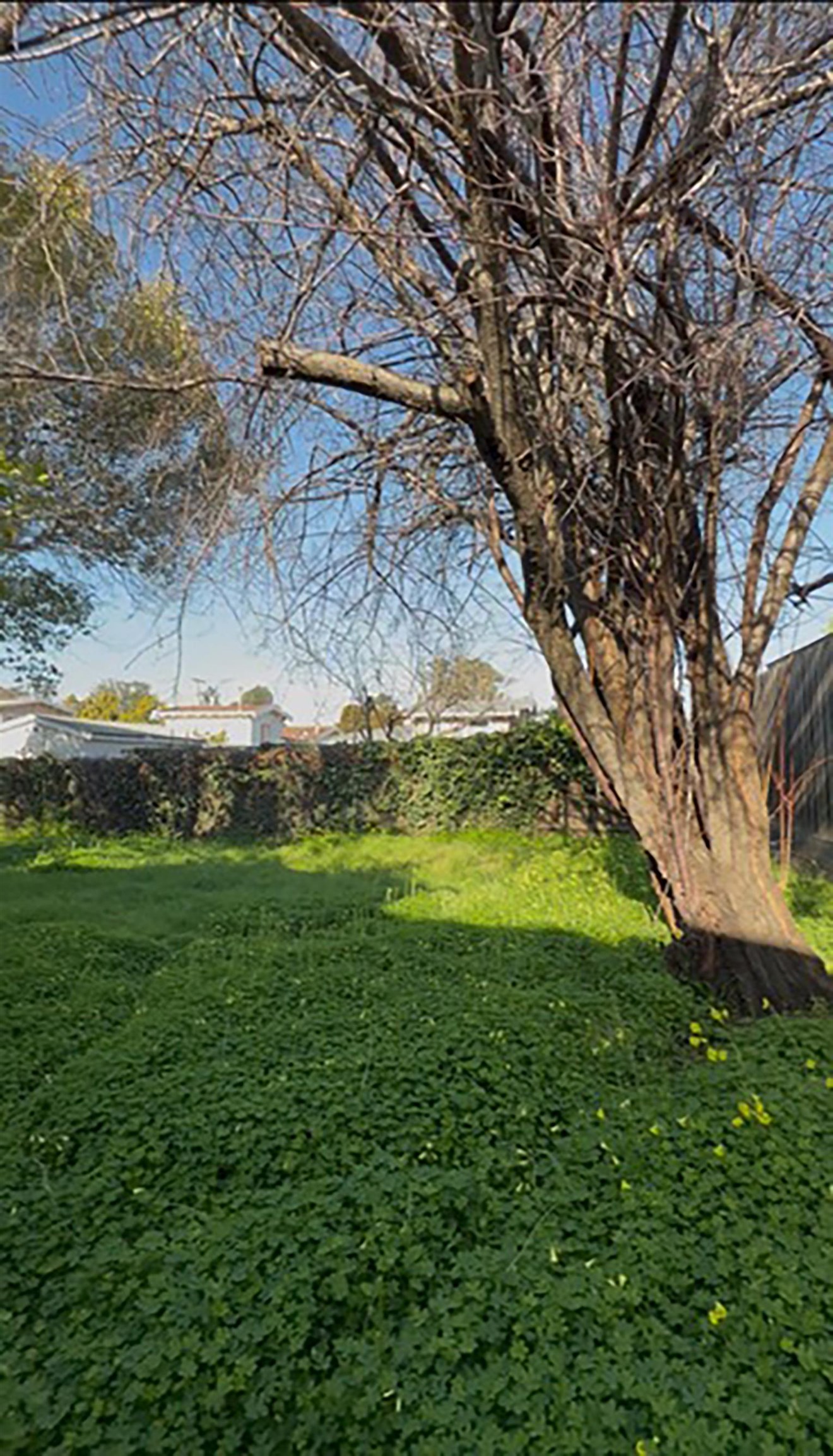 Detail Gallery Image 8 of 9 For 2933 35th Ave, Oakland,  CA 94619 - 4 Beds | 2/1 Baths