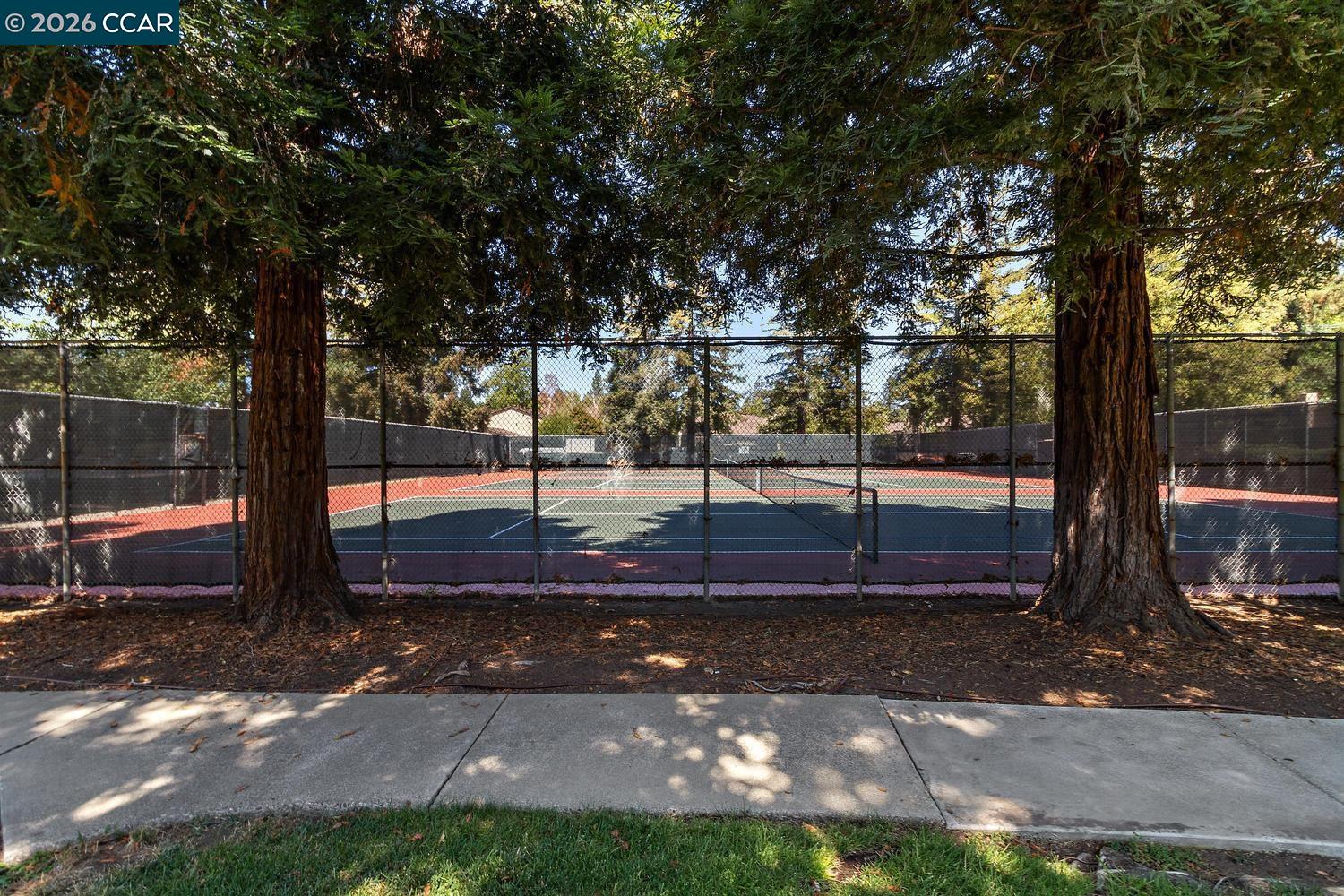 Photo #36: 41122943 Listing: Photo #36