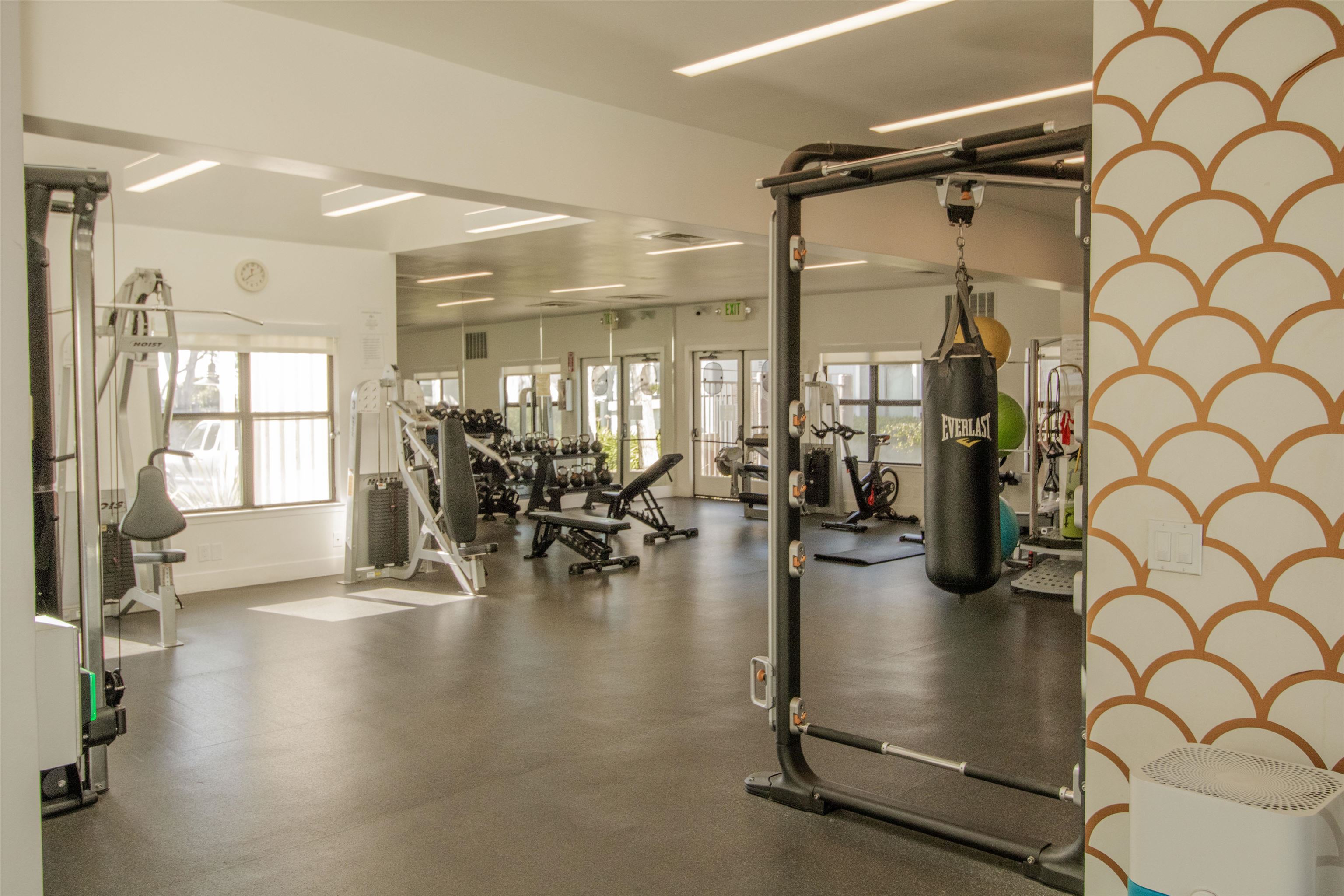 Photo #40: 41122961 Listing: Photo #40