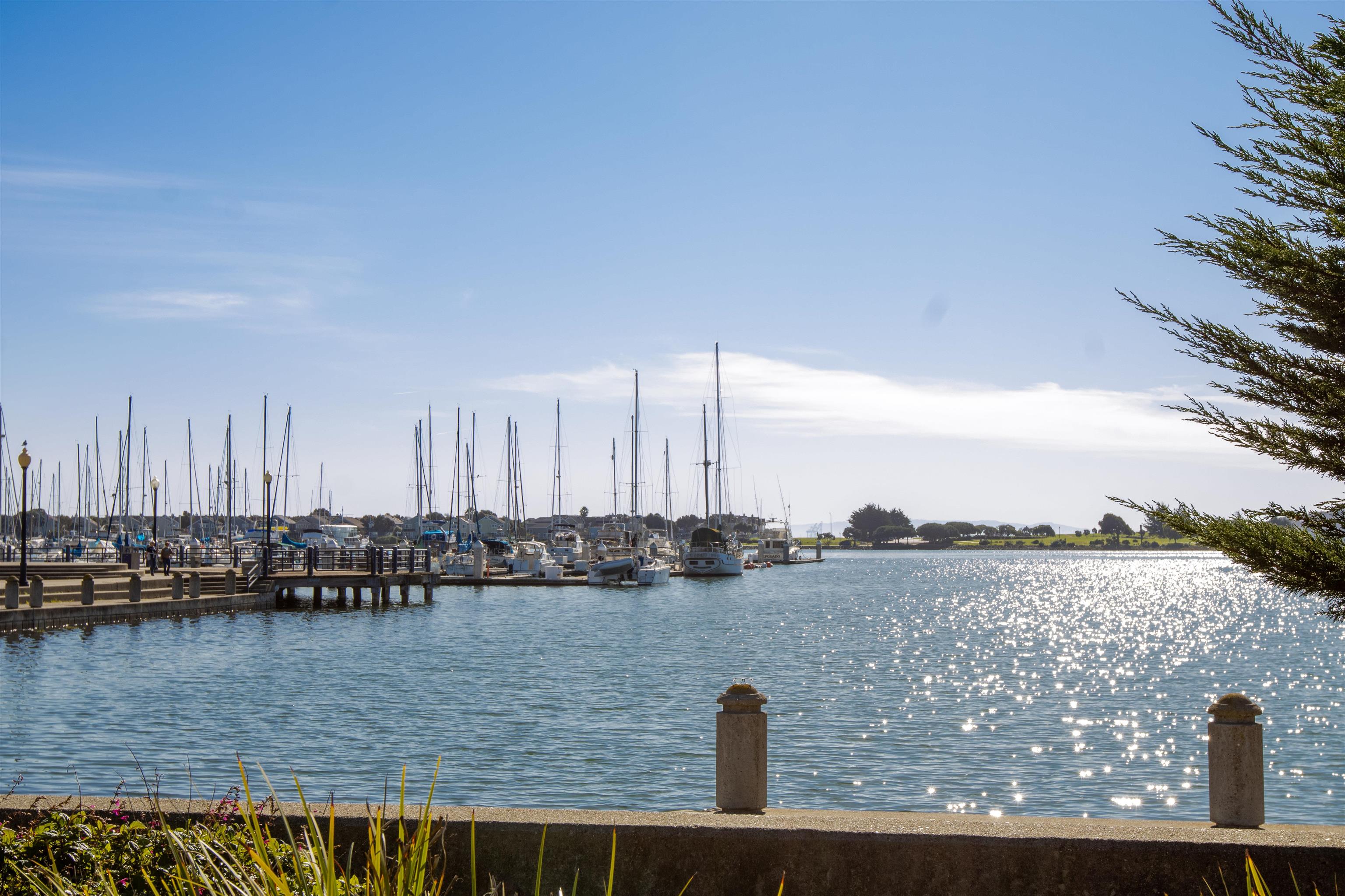 Photo #42: 41122961 Listing: Photo #42