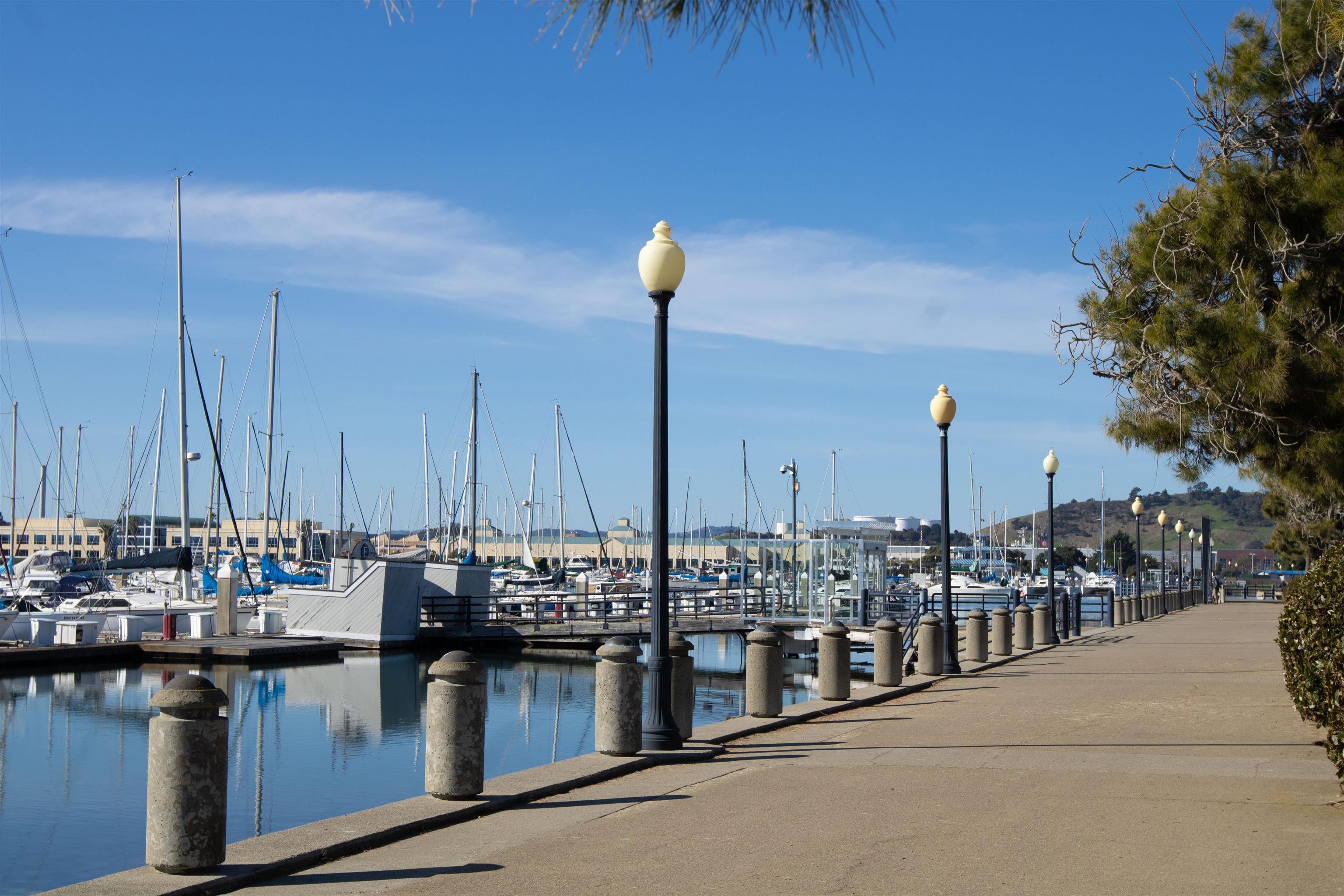 Photo #43: 41122961 Listing: Photo #43