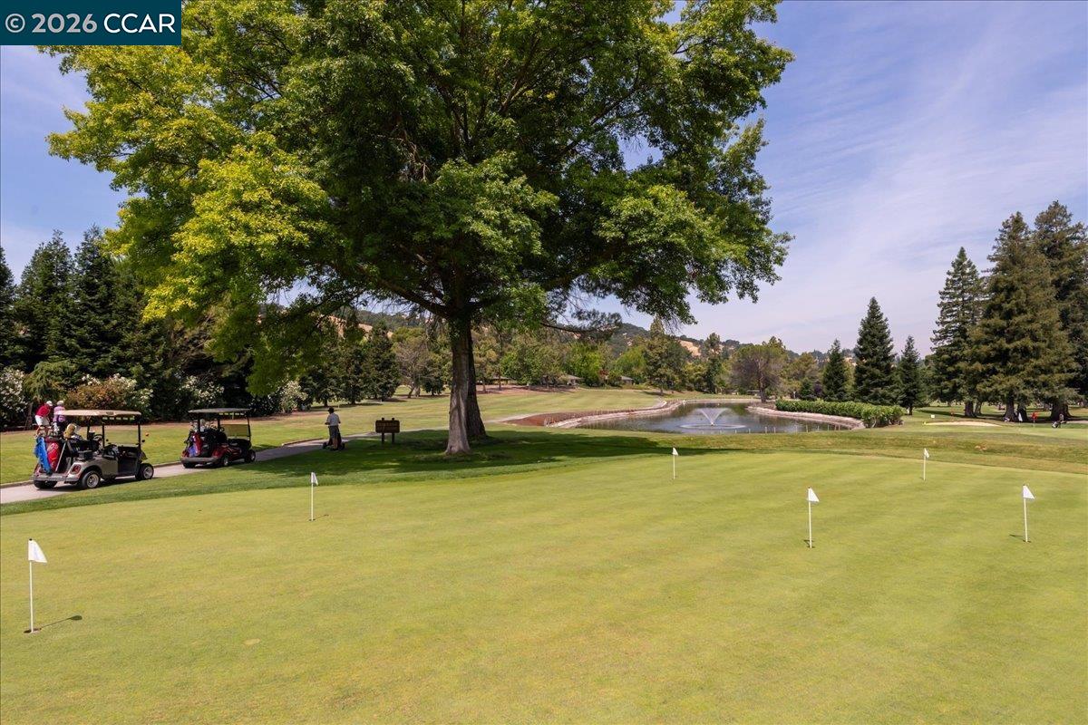 Photo #47: 41122996 Listing: Photo #47