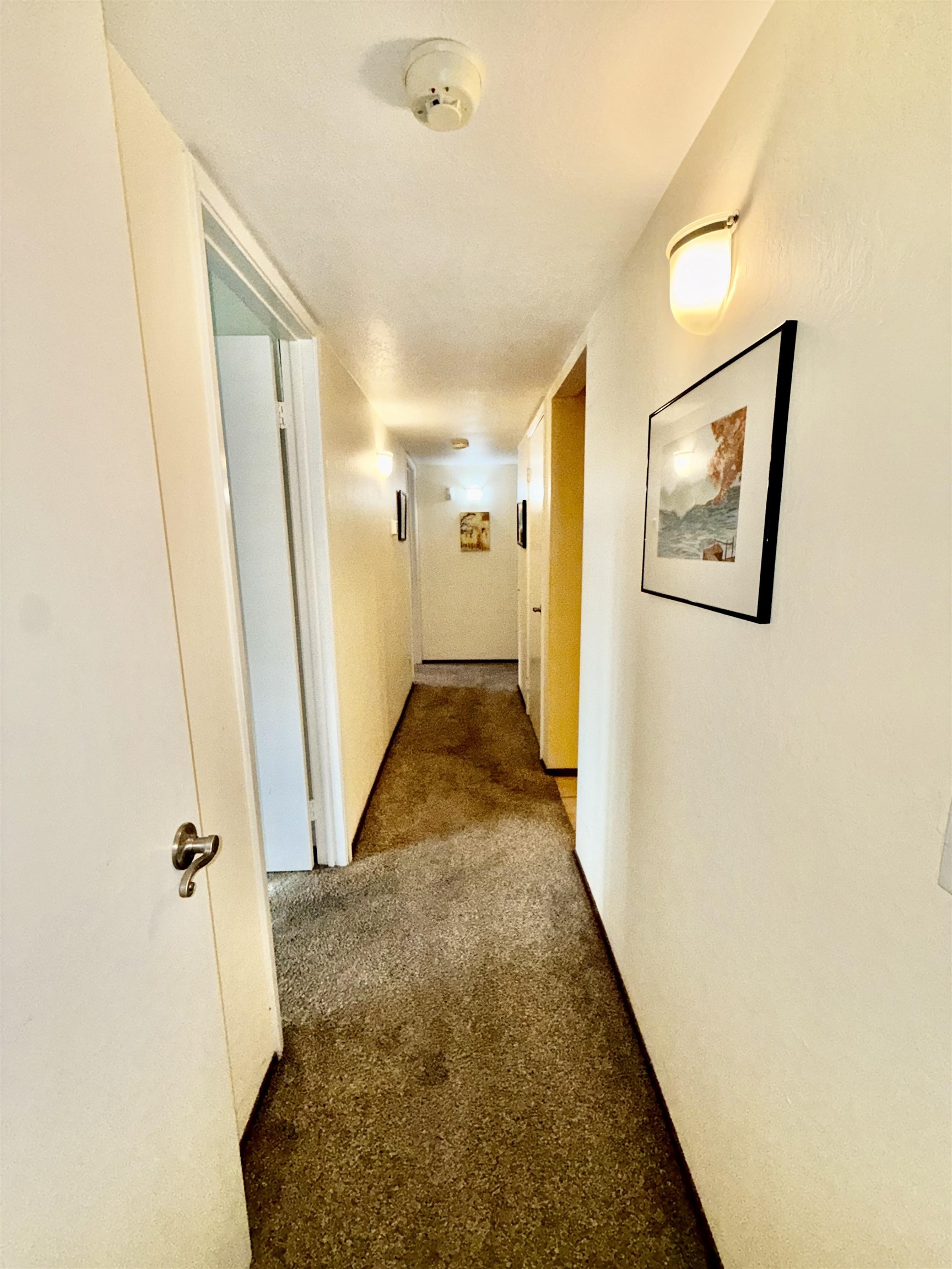 Photo #22: 41122999 Listing: Photo #22