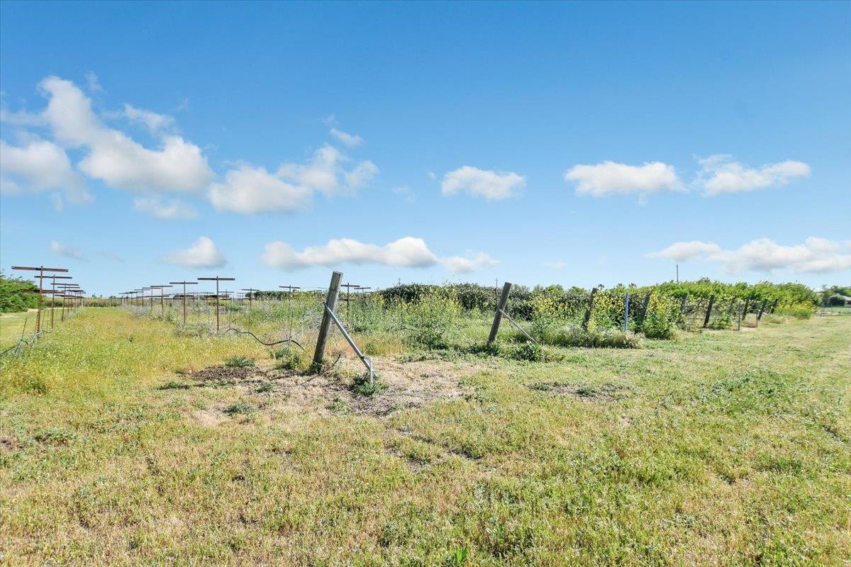 Detail Gallery Image 30 of 47 For 8091 Balfour Rd, Brentwood,  CA 94513 - – Beds | – Baths